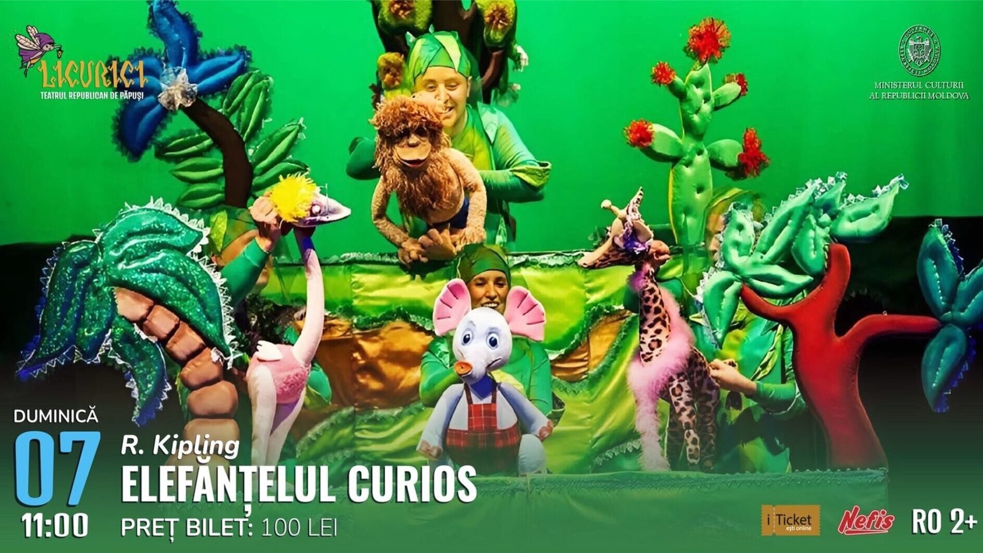 Elefănțelul curios Septembrie 2025