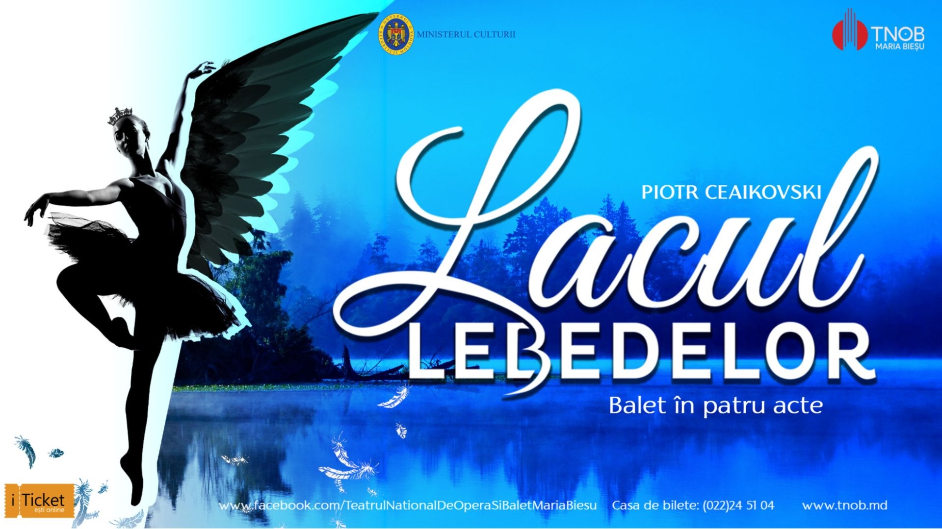 LACUL LEBEDELOR