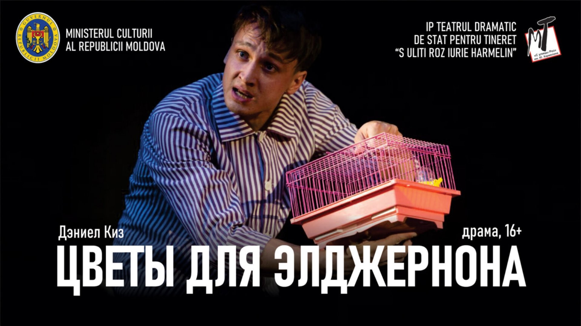 ЦВЕТЫ ДЛЯ ЭЛДЖЕРНОНА - 16.01.26 в 19-00