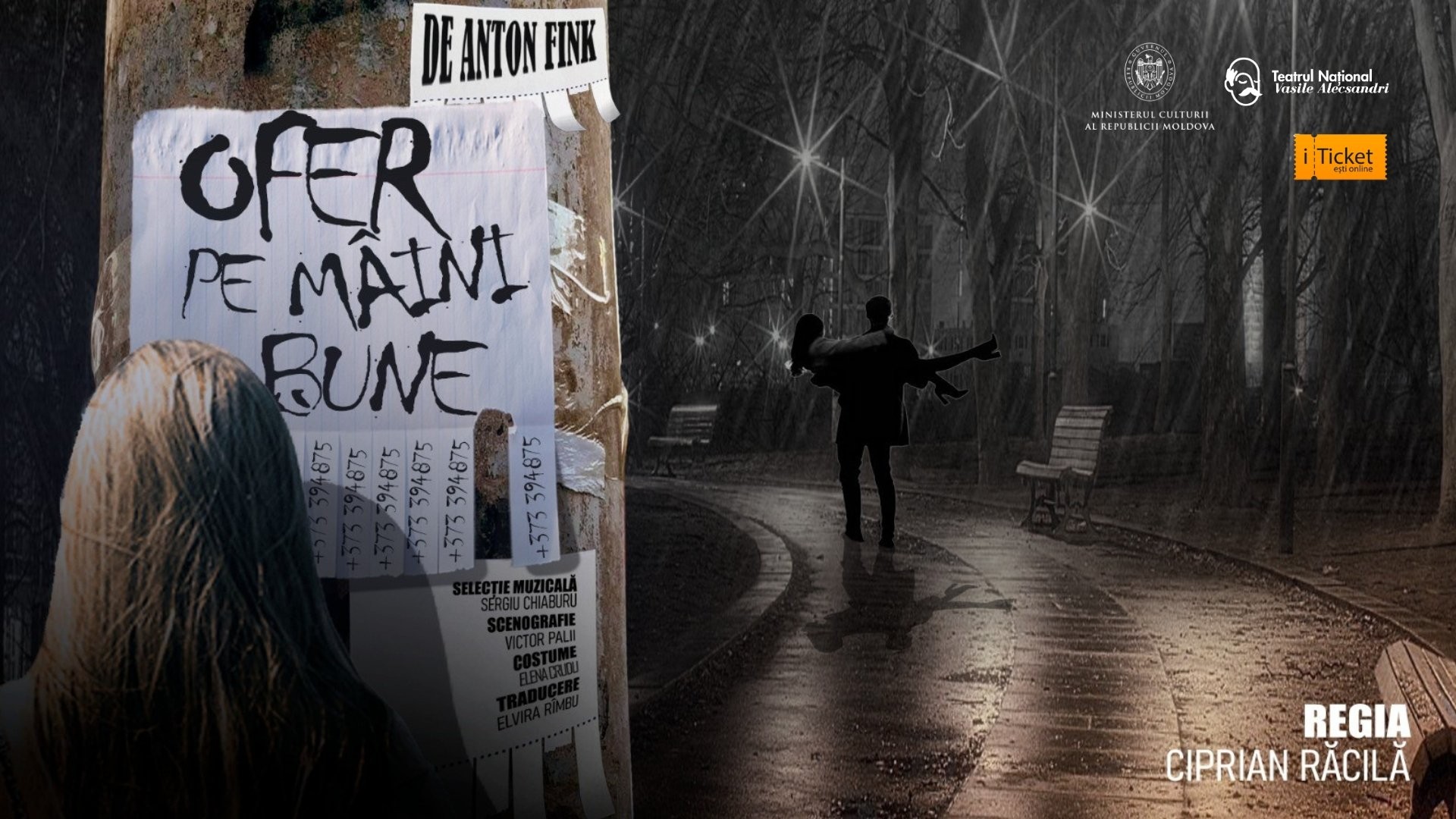 Ofer pe mâini bune de Anton Fink