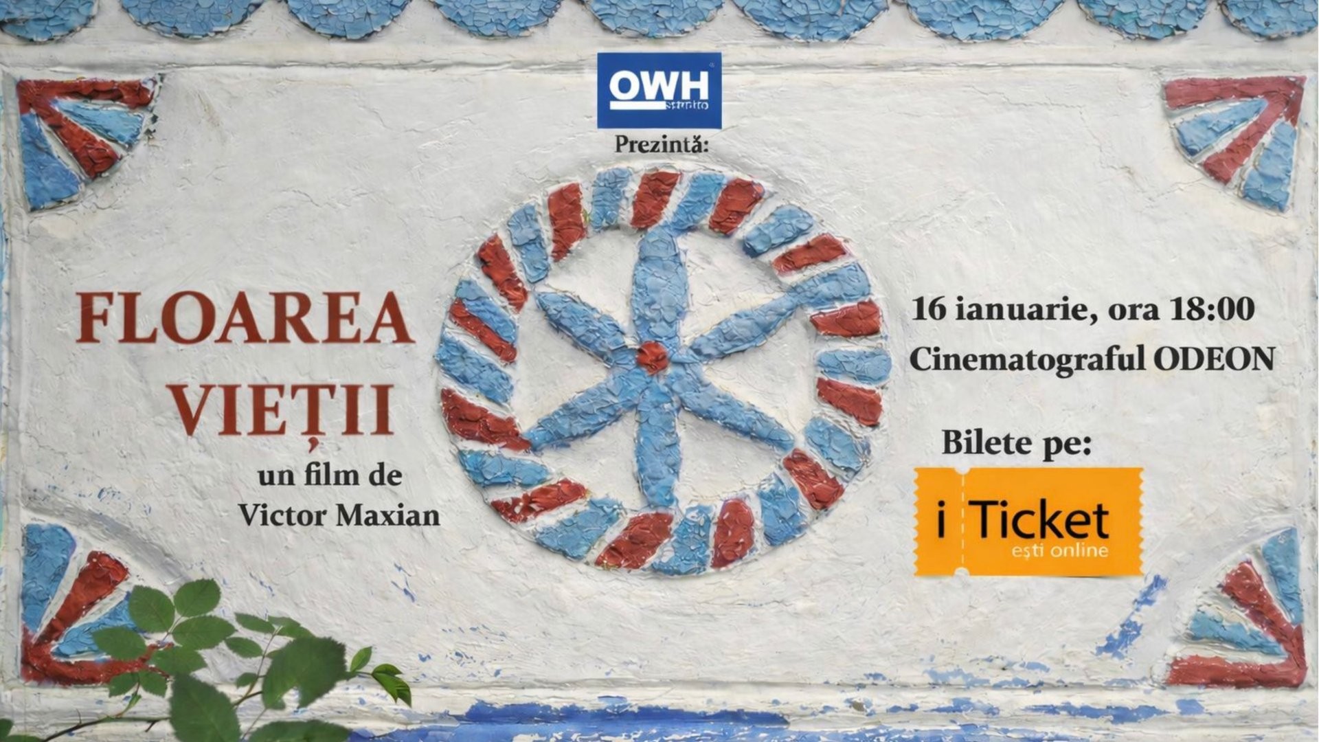 „Floarea Vieții” 16.01