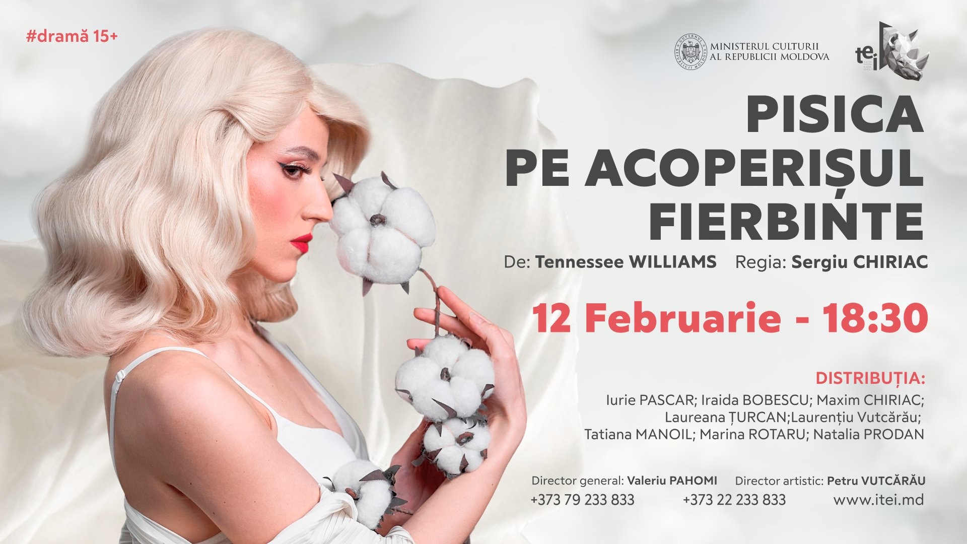 PISICA PE ACOPERIȘUL FIERBINTE 12.02.2026