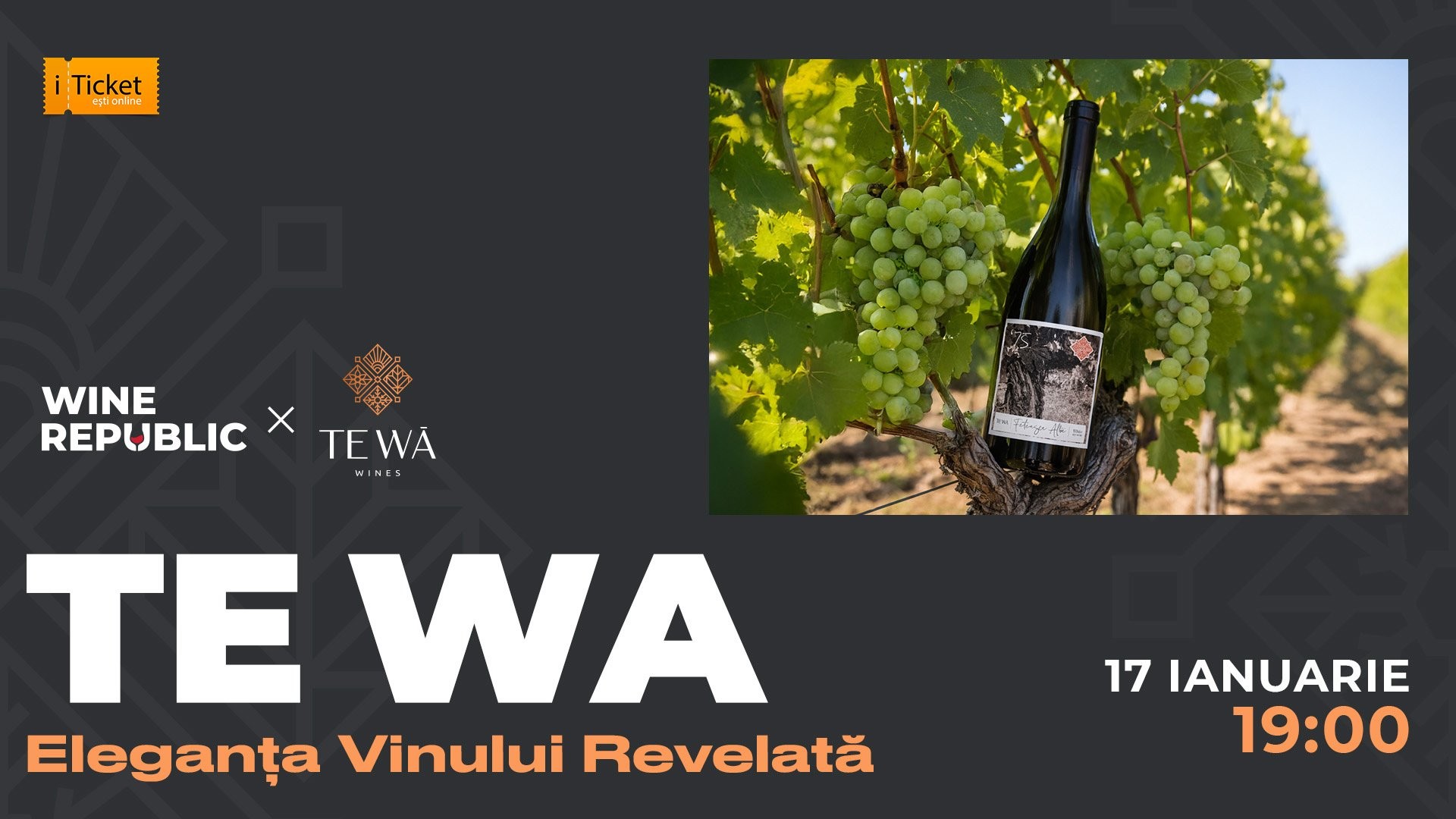 TE WA – Eleganța Vinului Revelată