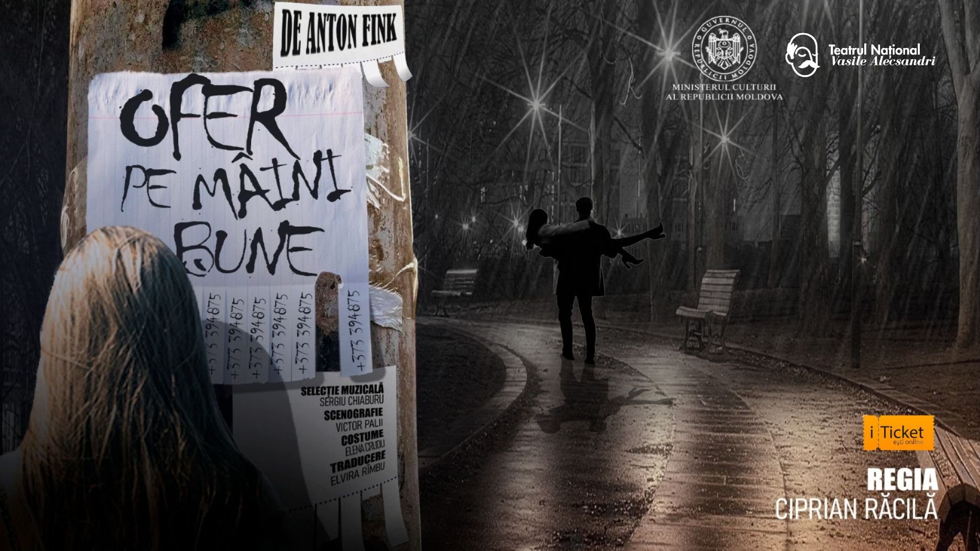 OFER PE MÂINI BUNE de Anton Fink