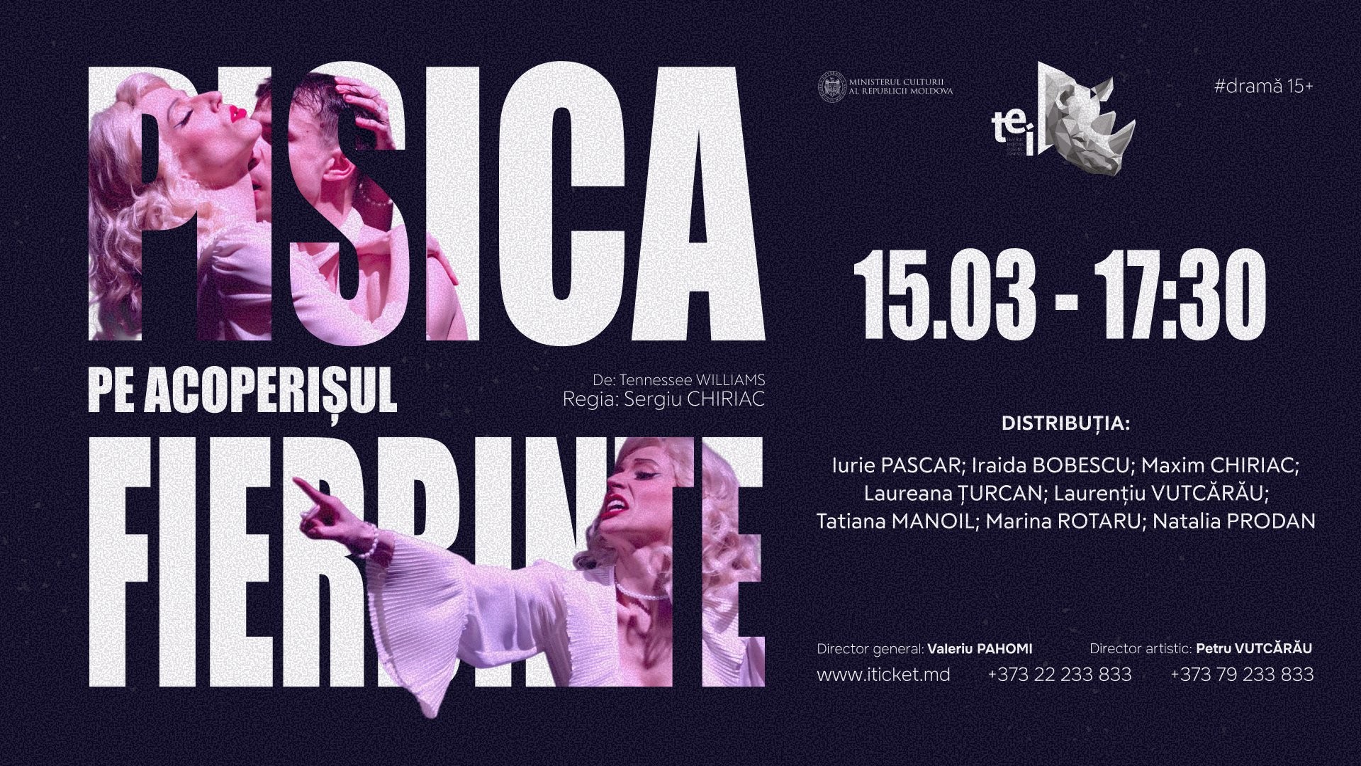 PISICA PE ACOPERIȘUL FIERBINTE 15.03.2026