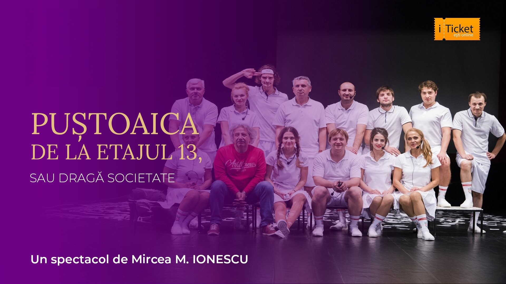 PUȘTOAICA DE LA ETAJUL 13, SAU DRAGĂ SOCIETATE