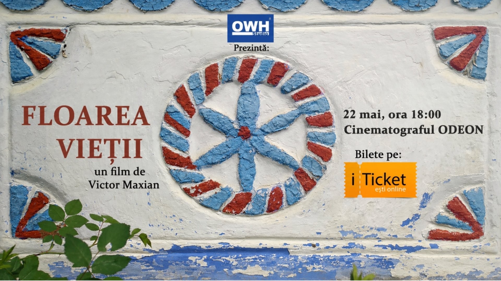 „Floarea Vieții” 22.05