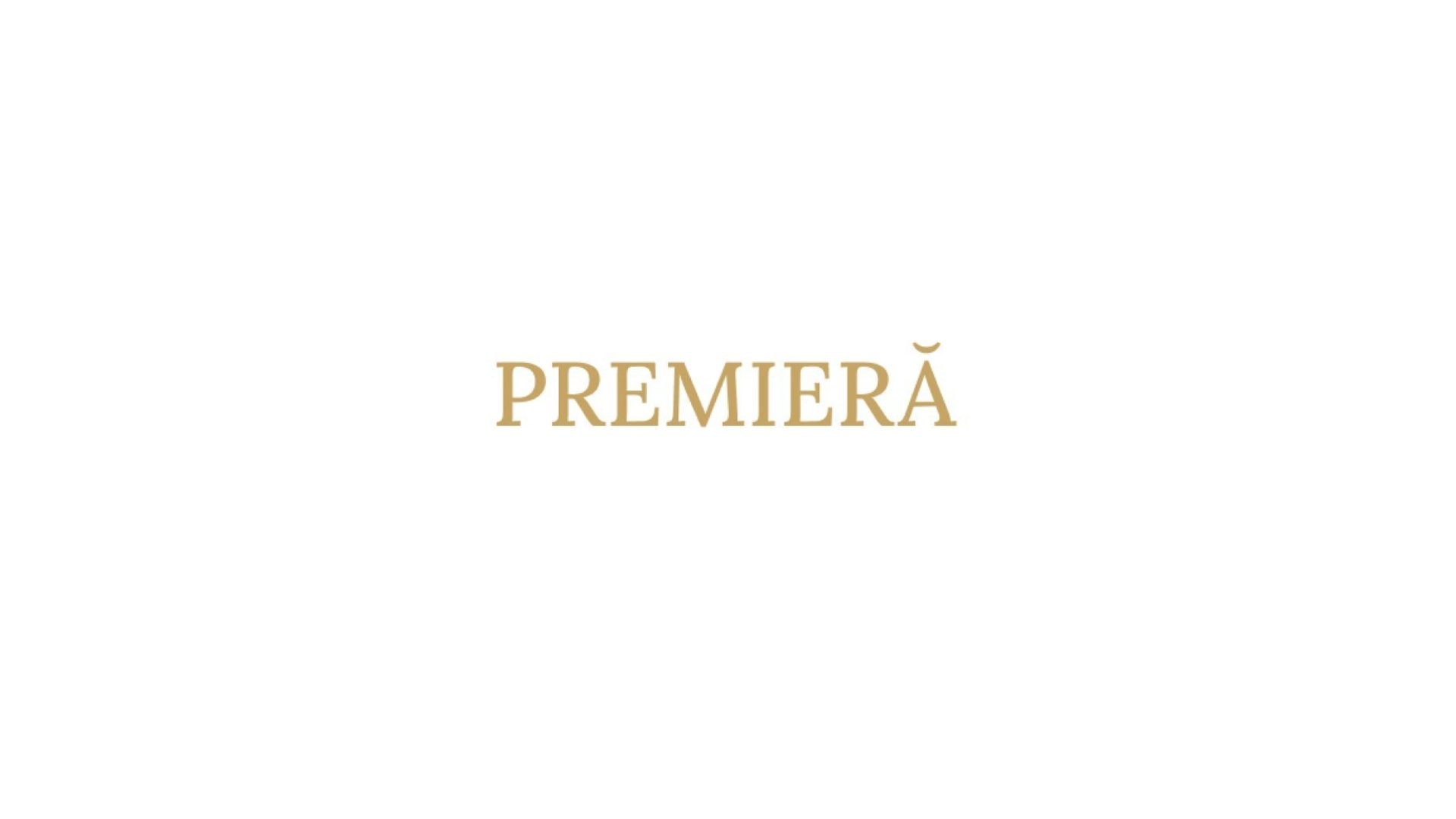 Premieră! TERAPIE ÎN GRUP de B. Tamás, S. Vajk și G. Attila