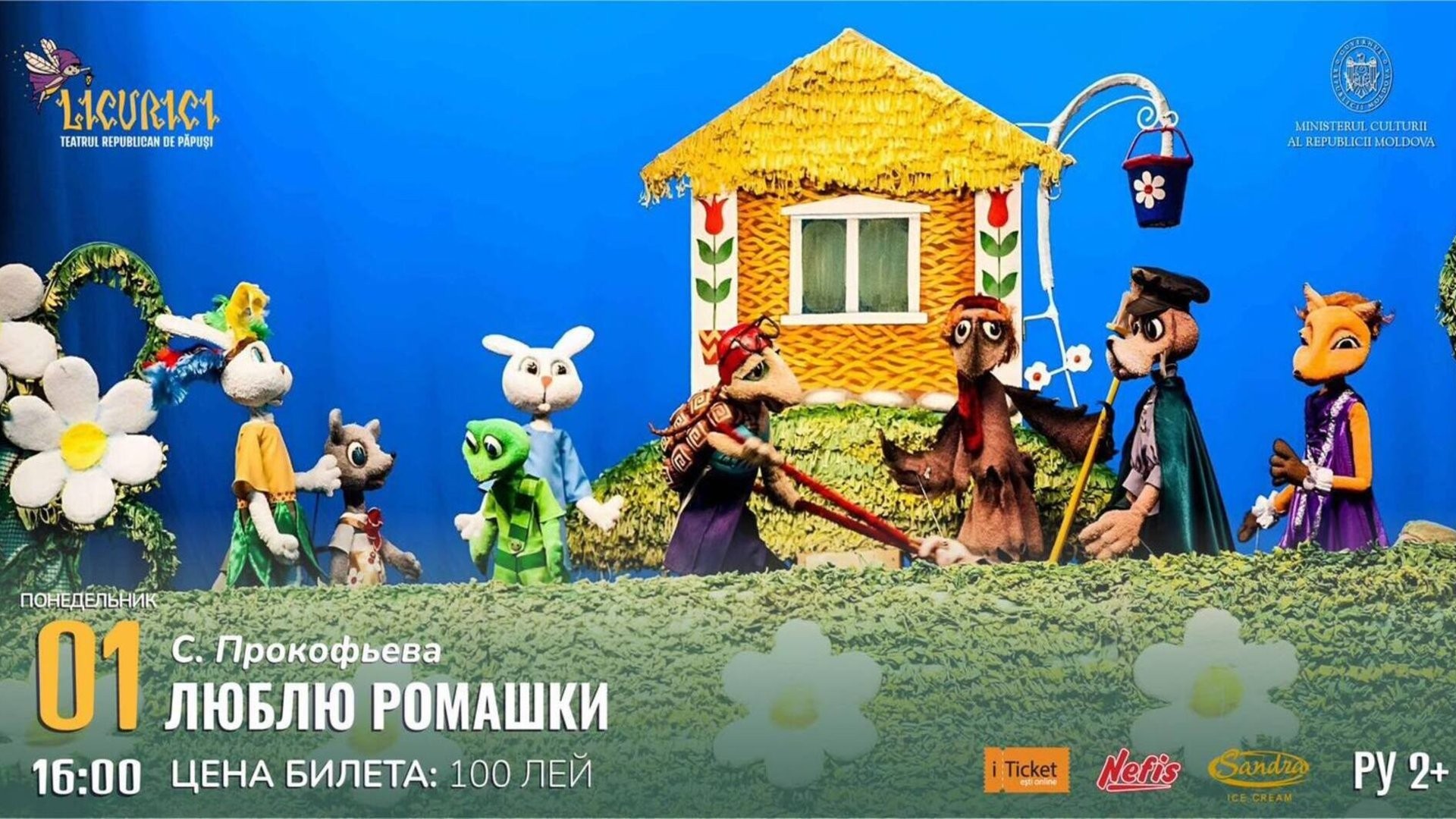 Люблю ромашки