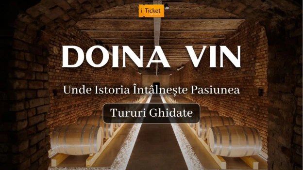Tururi Ghidate - Doina Vin