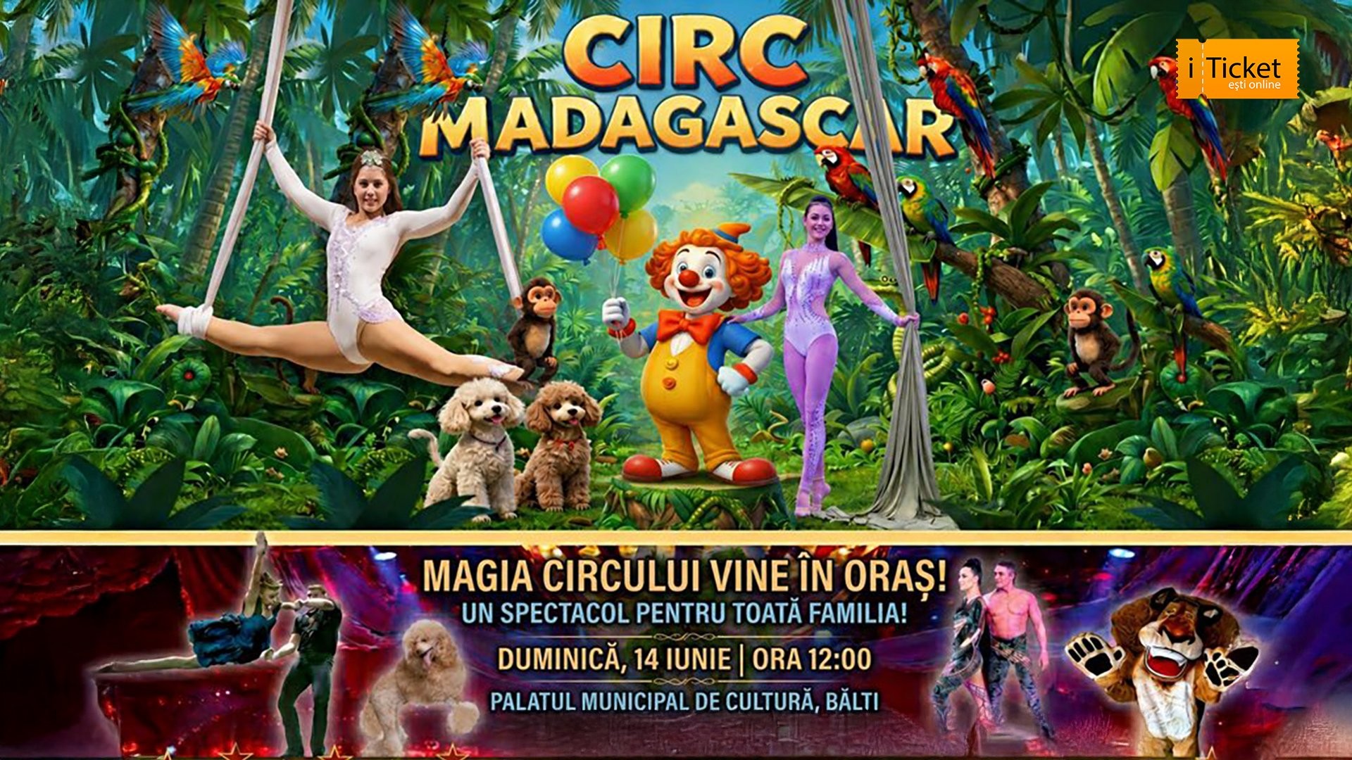Circul Madagascar vine la Bălți
