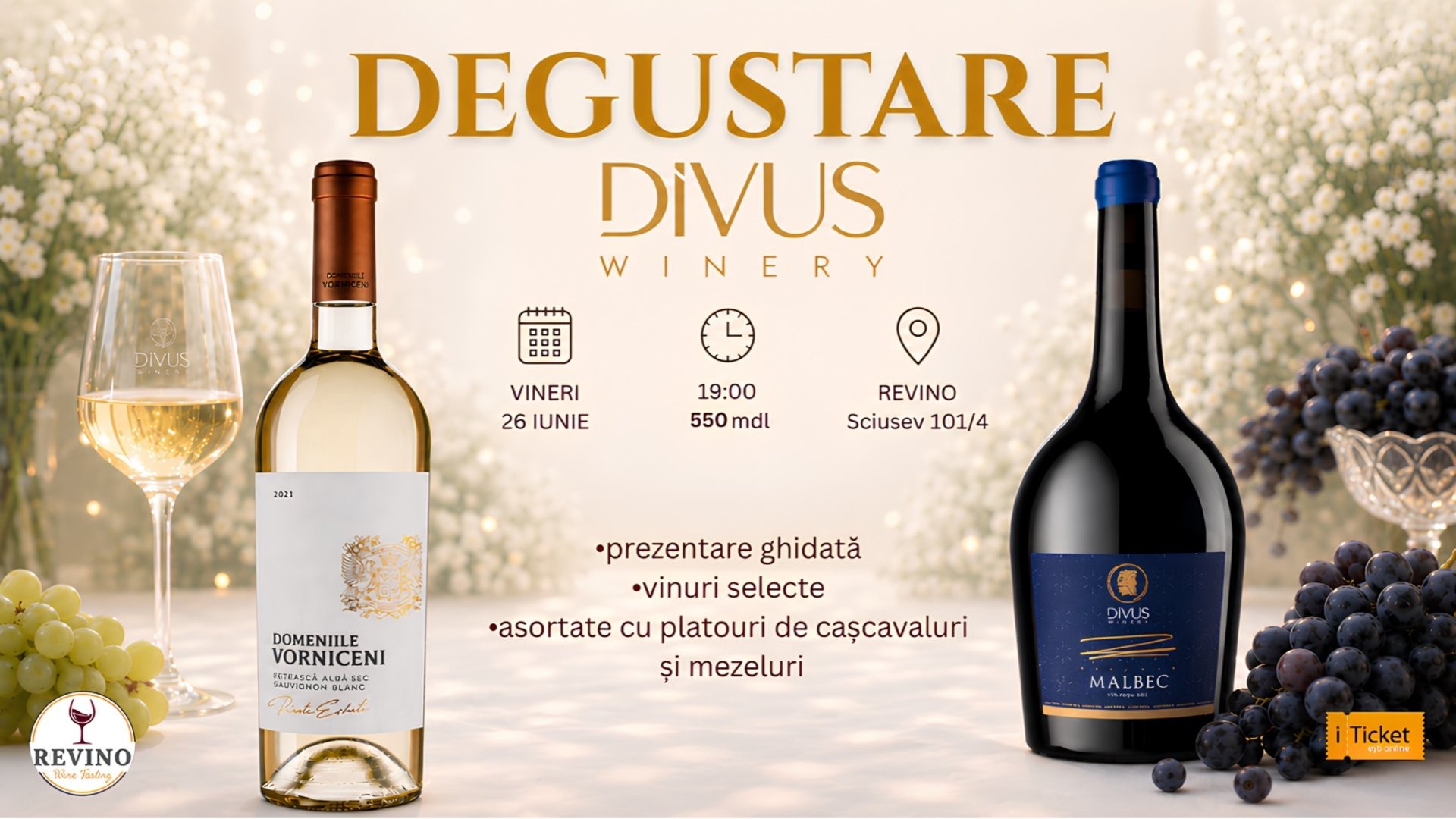 Degustare de Vinuri DIVUS