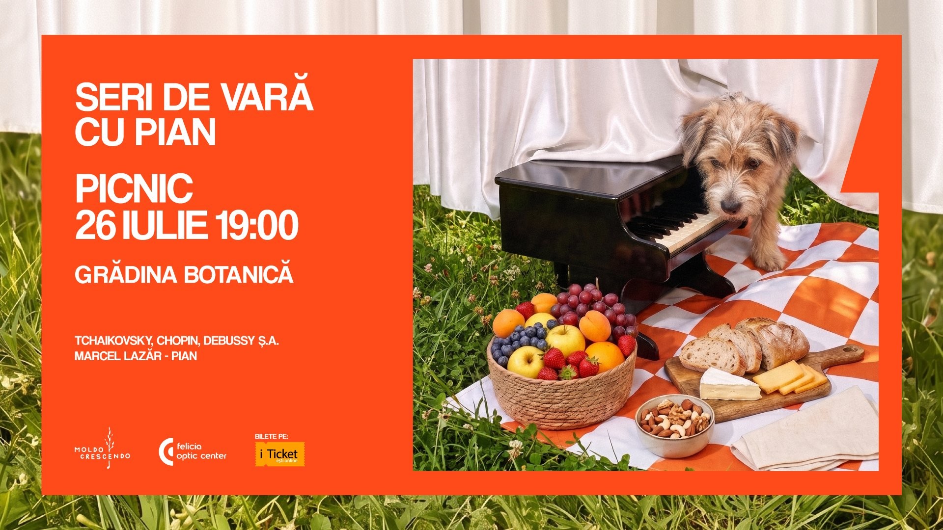 Seri de vară cu pian. Picnic.