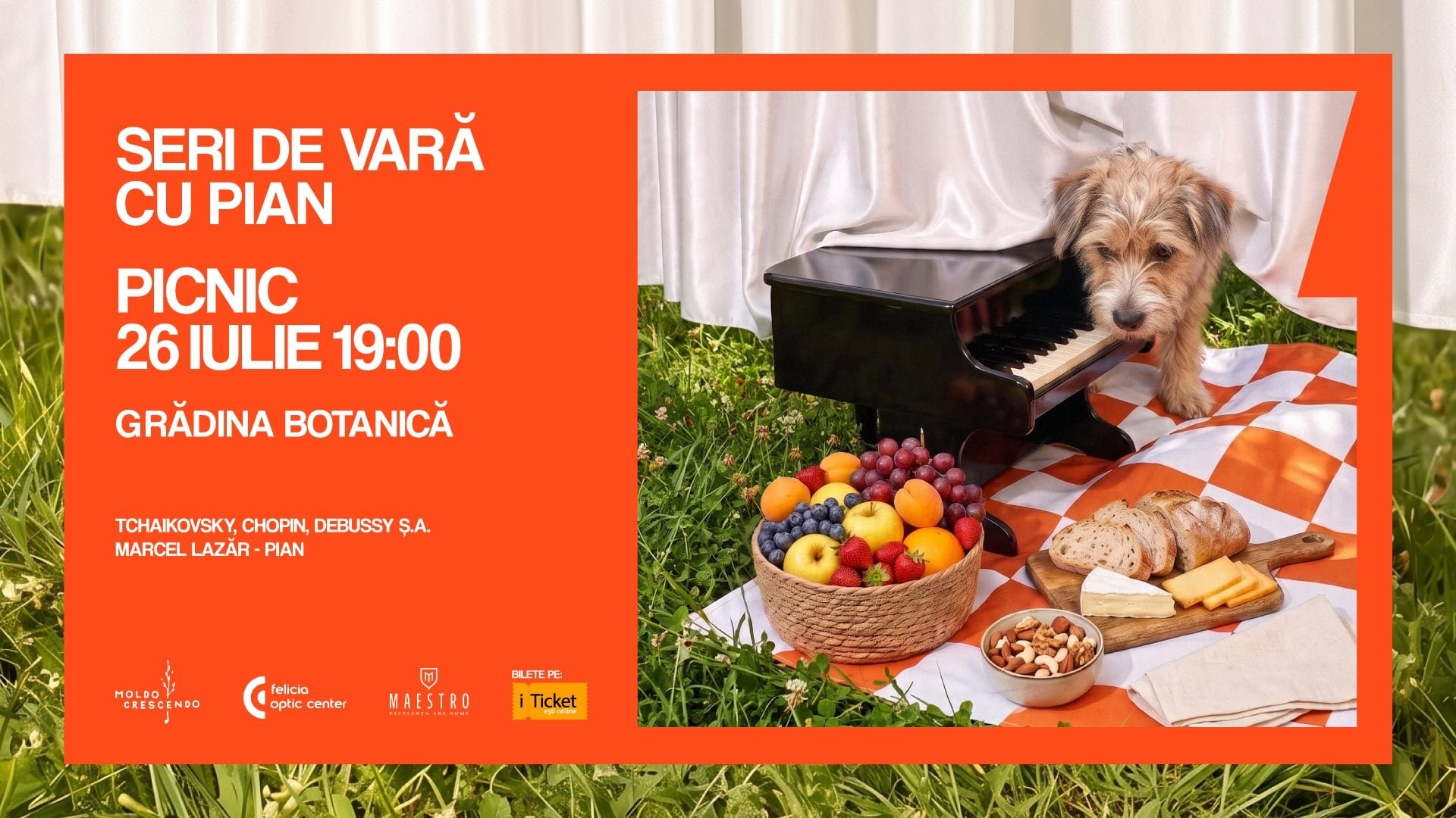 Seri de vară cu pian. Picnic.