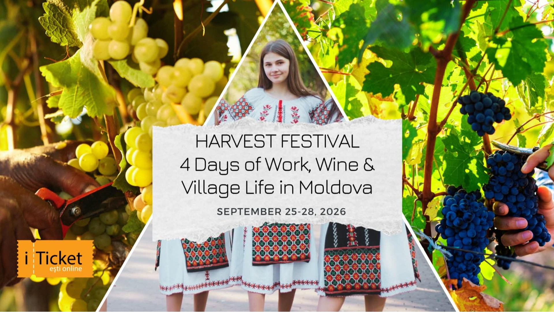 HARVEST FEST 2026