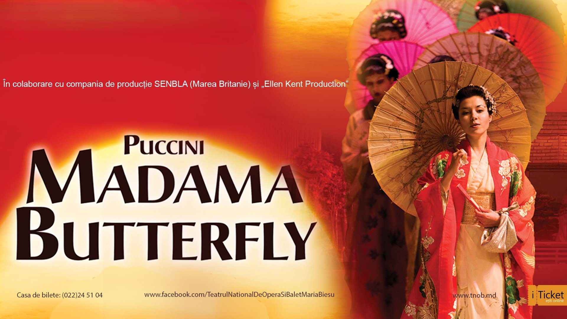 MADAMA BUTTERFLY 29.11
