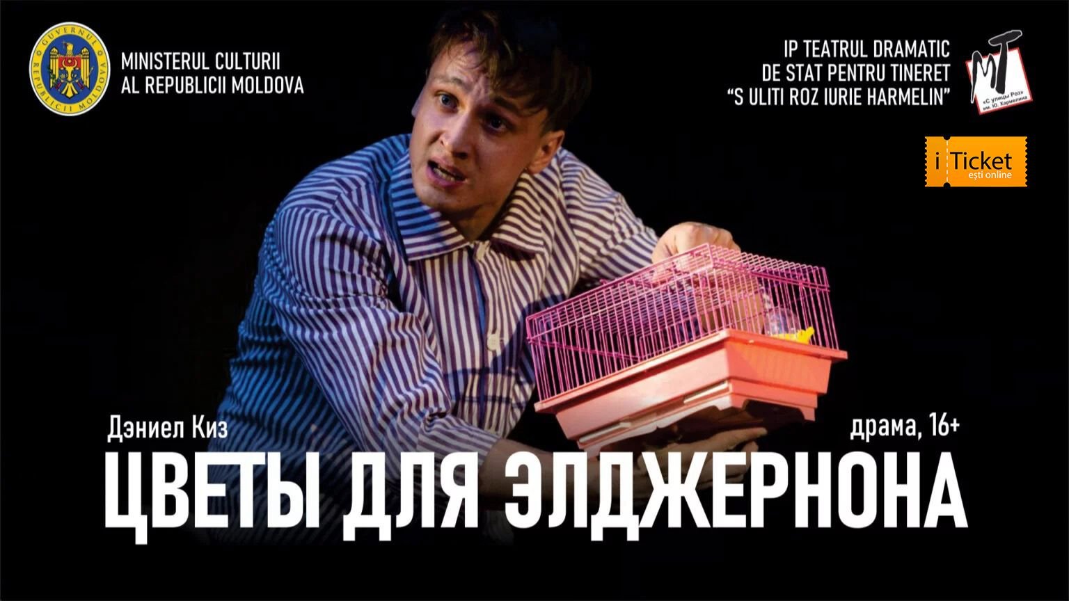 ОТМЕНА - ЦВЕТЫ ДЛЯ ЭЛДЖЕРНОНА - 31.08.25 в 18-00