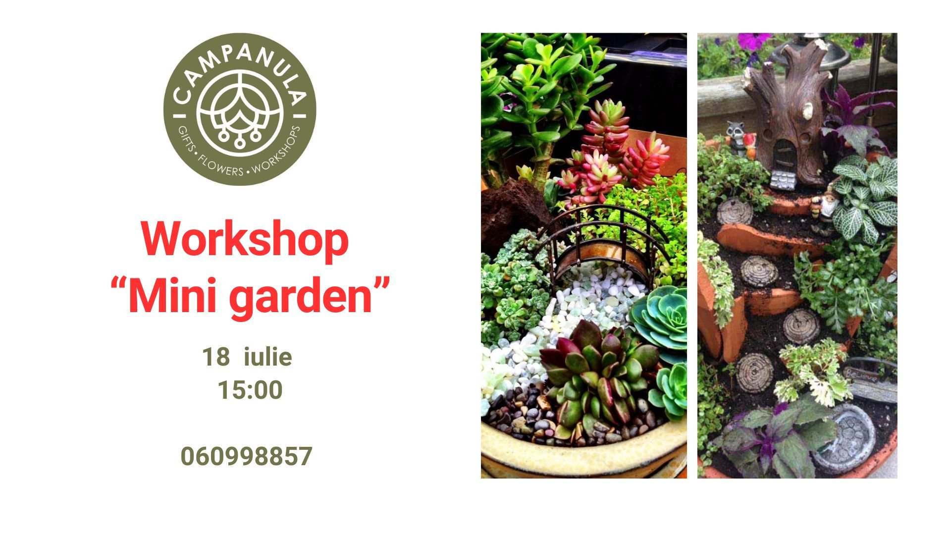 Workshop „Mini Garden” | 18 Iulie