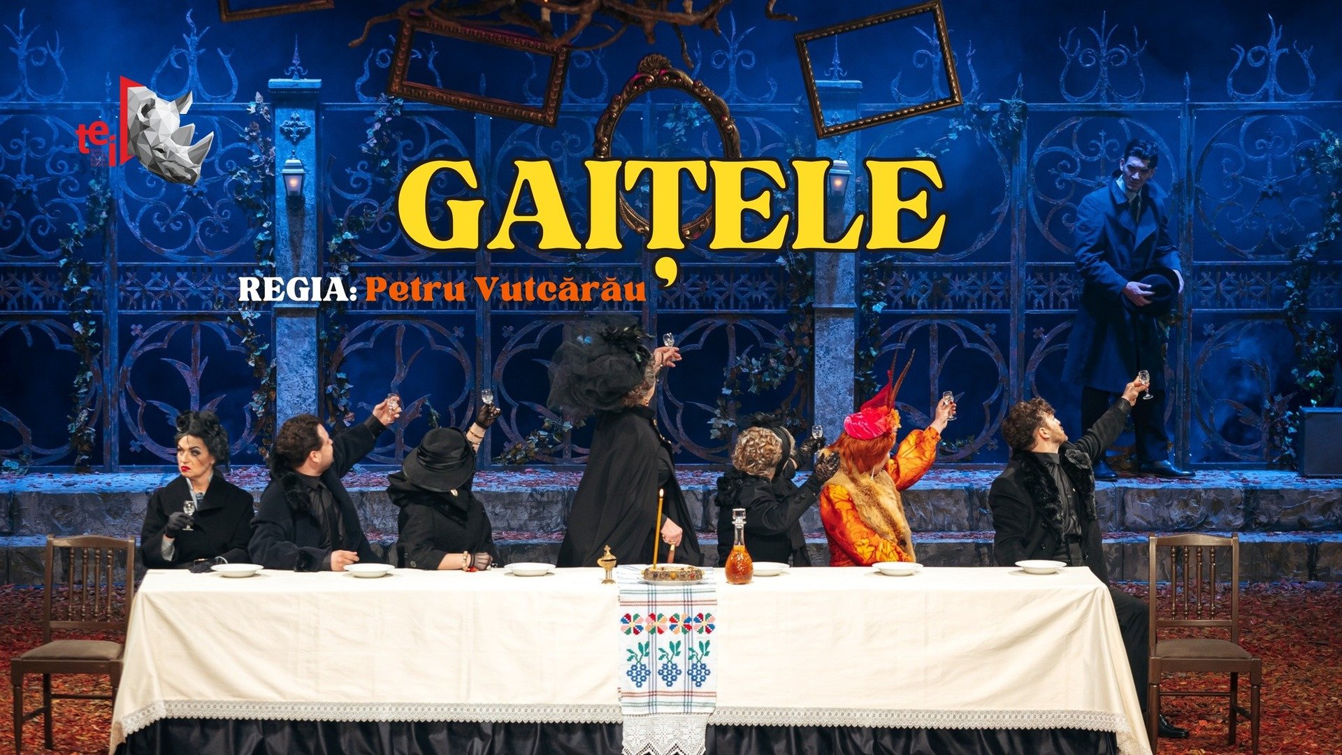GAIȚELE 26.11