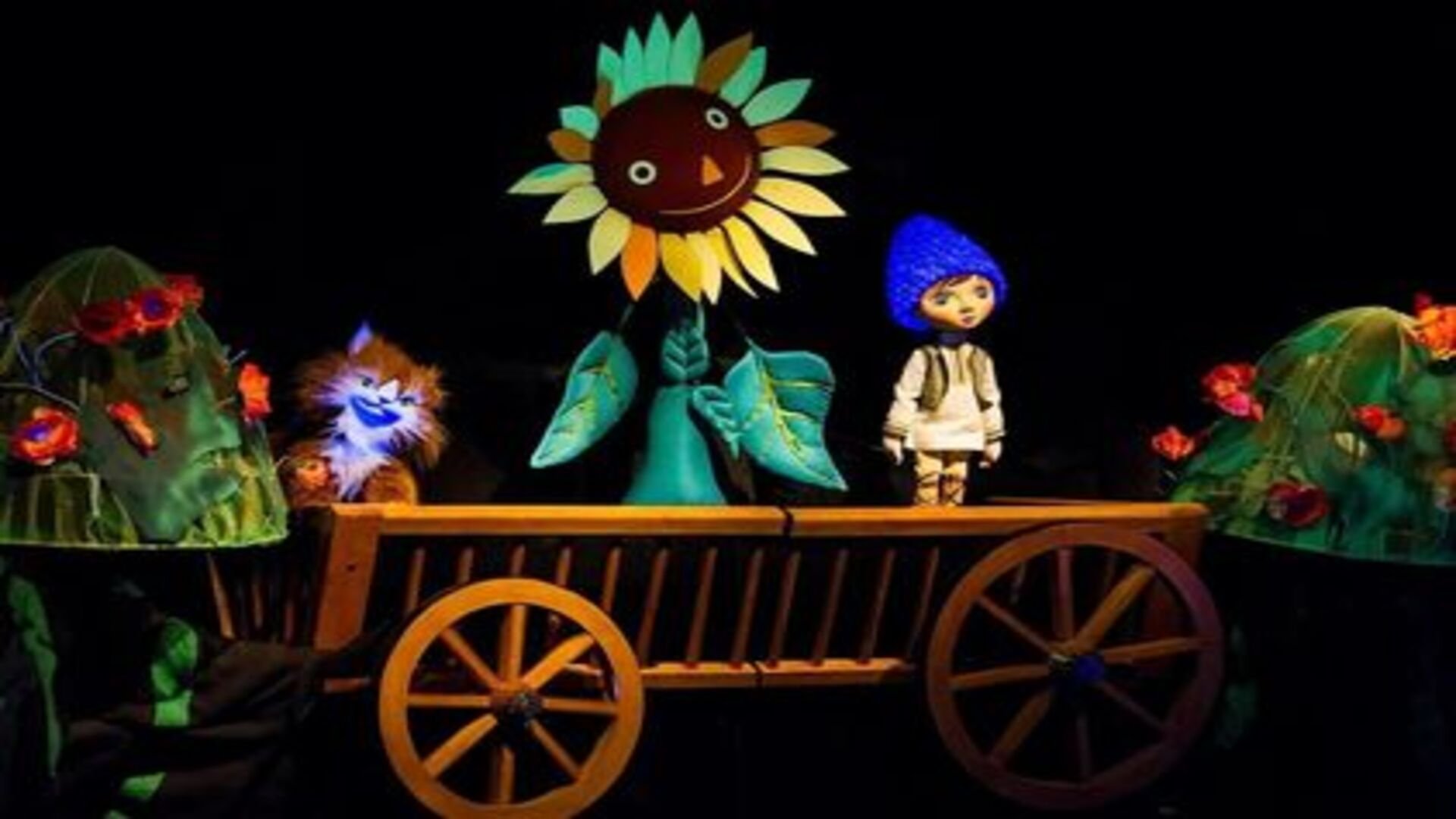 Steaua lui Guguță I 20 Octombrie