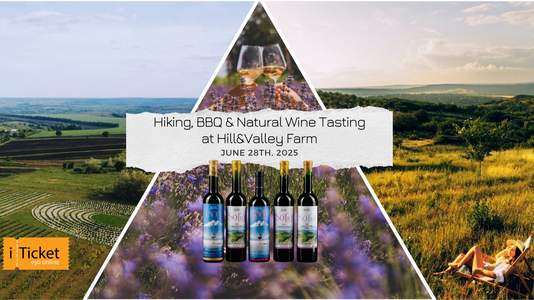 Hiking, BBQ & Natural Wine Tasting at Hill&Valley Farm-28.06