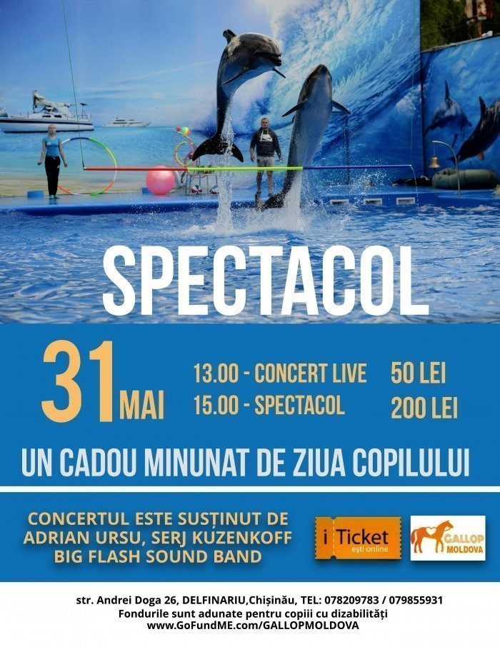 Spectacol cu delfini