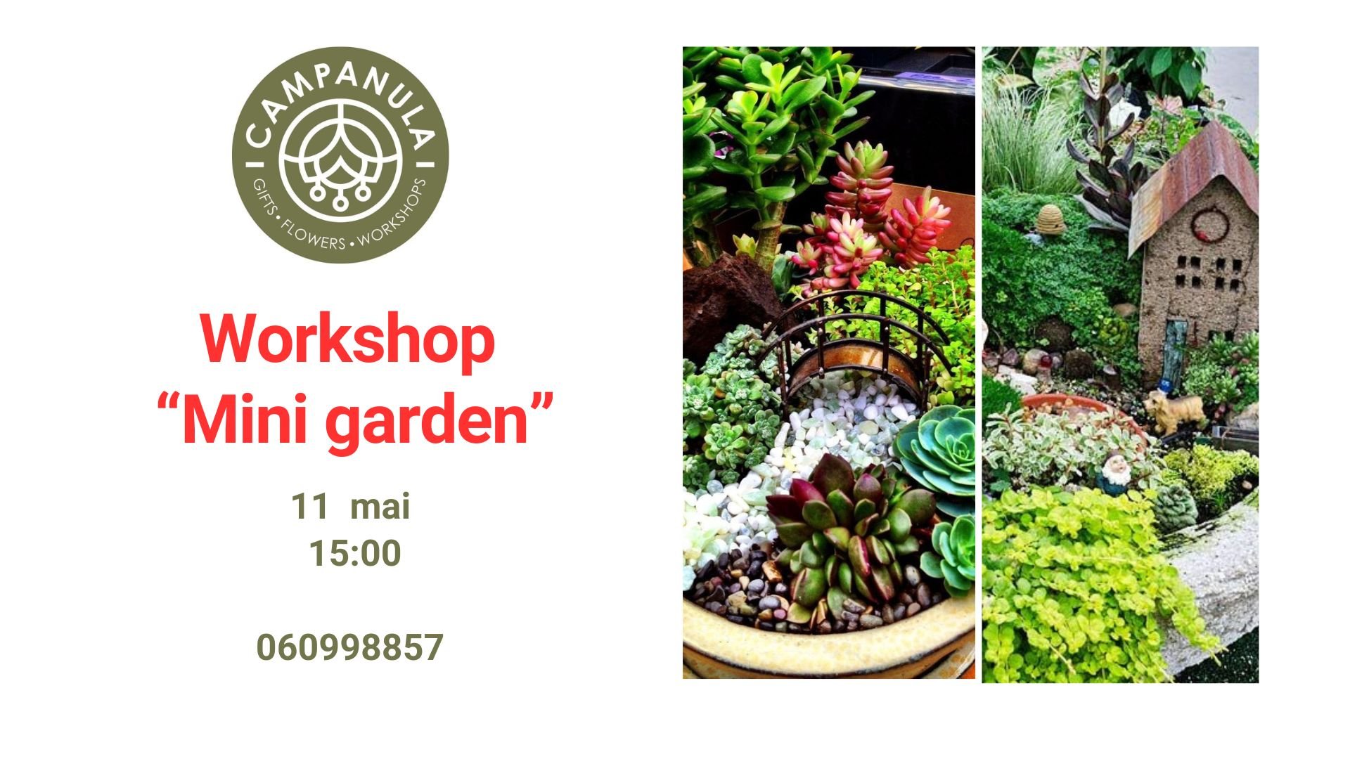 Workshop „Mini Garden” | 11 Mai 