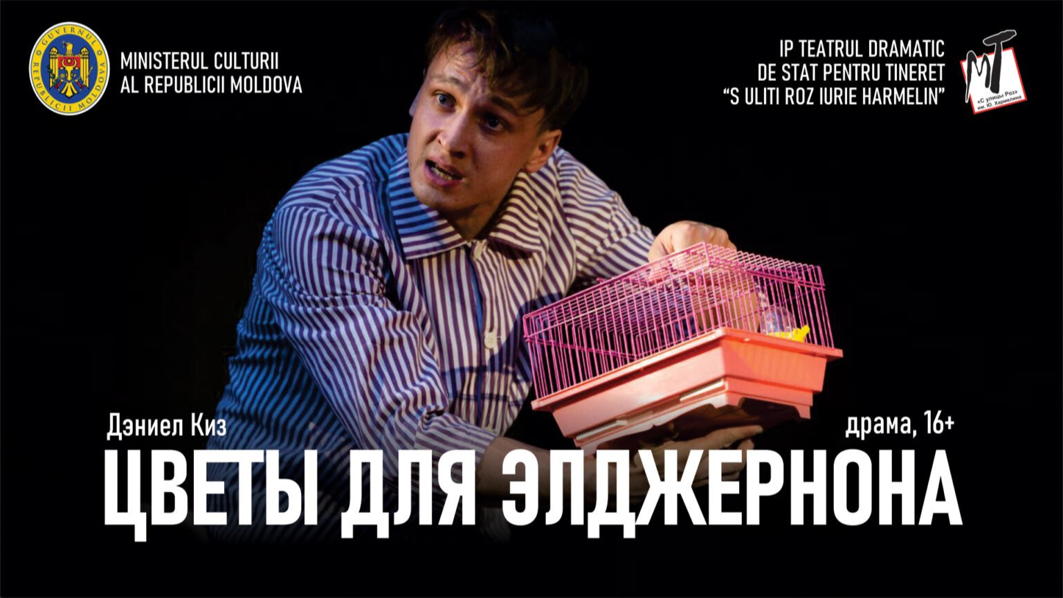 ЦВЕТЫ ДЛЯ ЭЛДЖЕРНОНА - 14.06.25 в 20-00 (на открытой площадке)