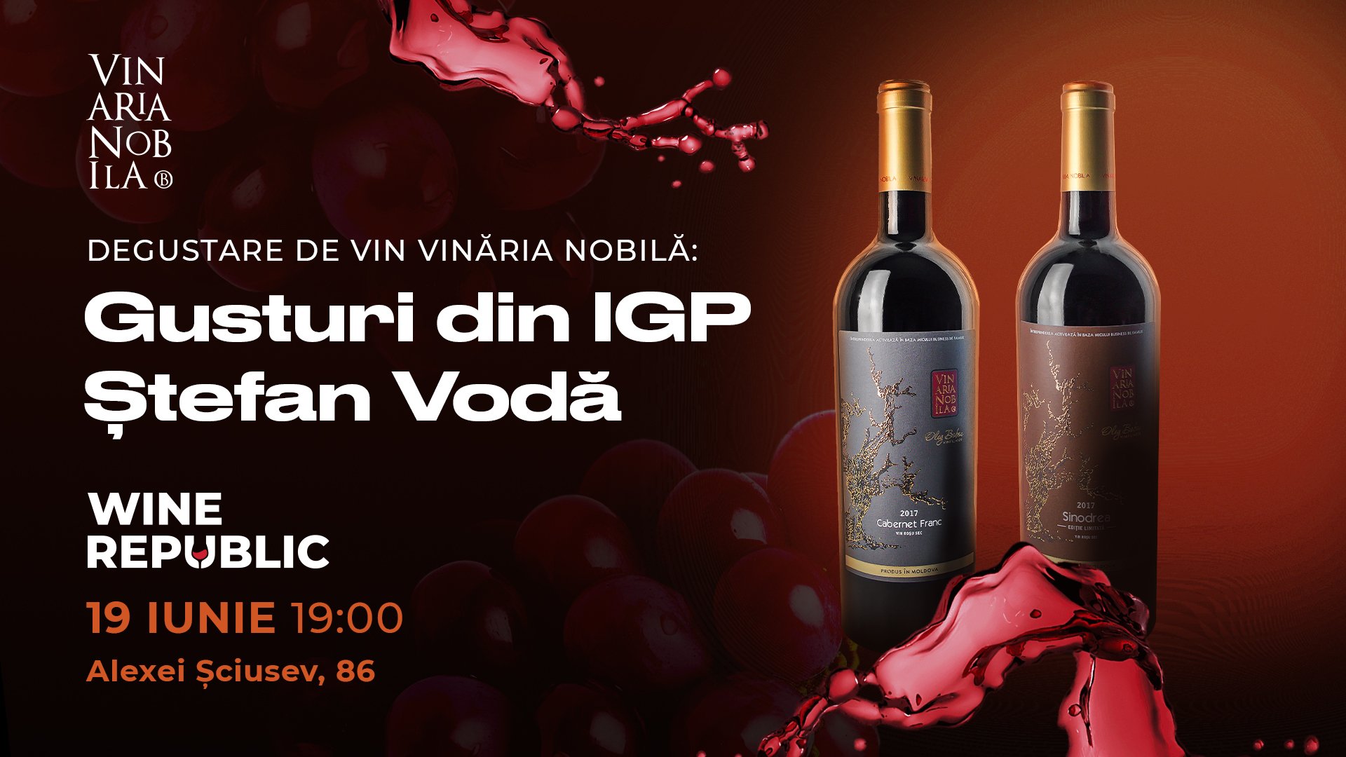 Wine Tasting – Vinăria Nobilă: Flavours from IGP Ștefan Vodă