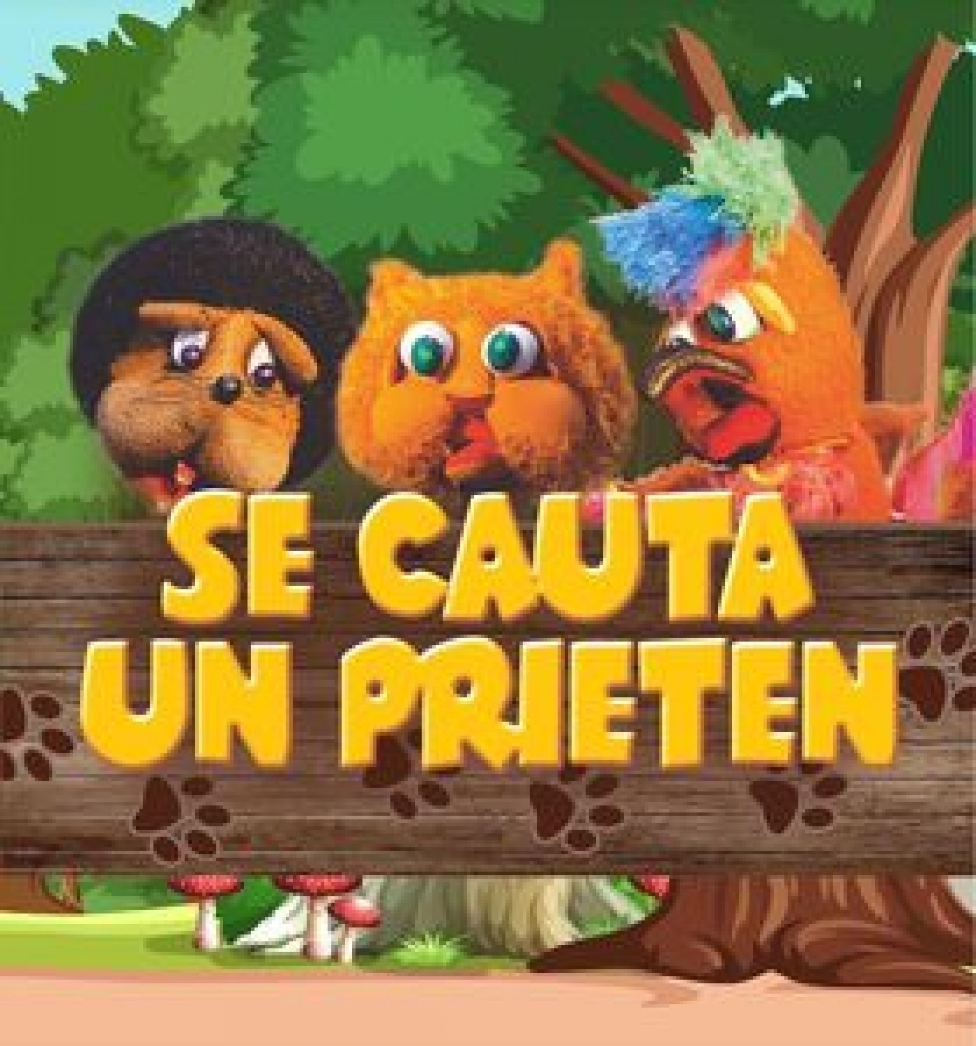 Premieră! Se caută un prieten!  |  31 Iulie