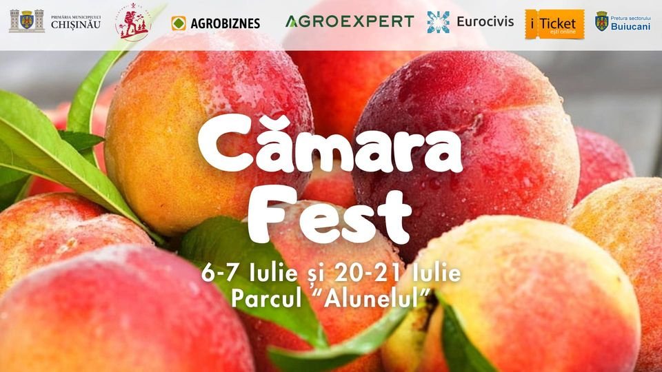 Cămara Fest 