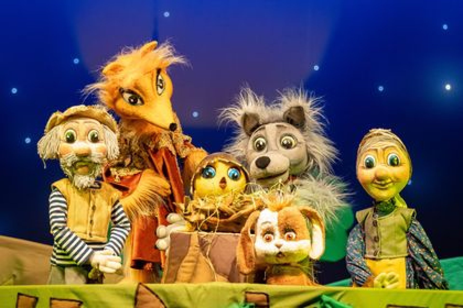 Золотой цыпленок | 11.12.2021