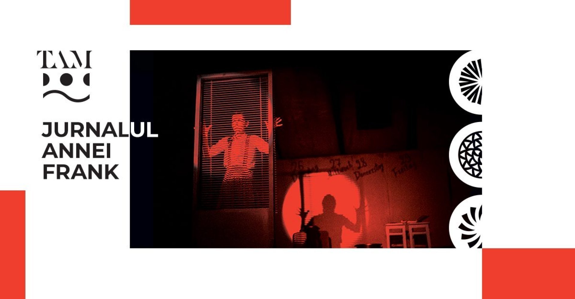 Jurnalul Annei Frank de Nelly Cozaru