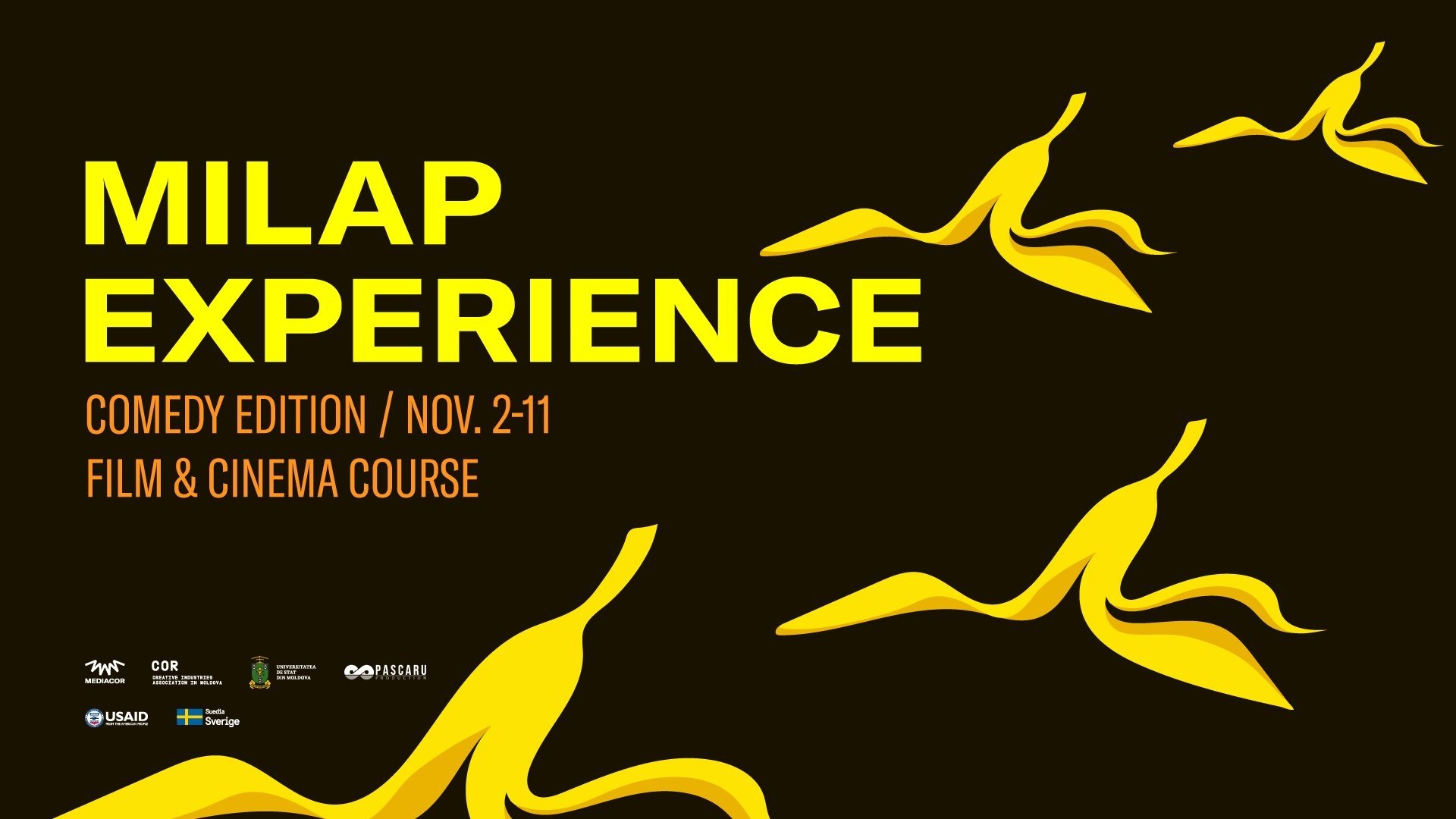 MILAP Experience. Curs de film & cinema