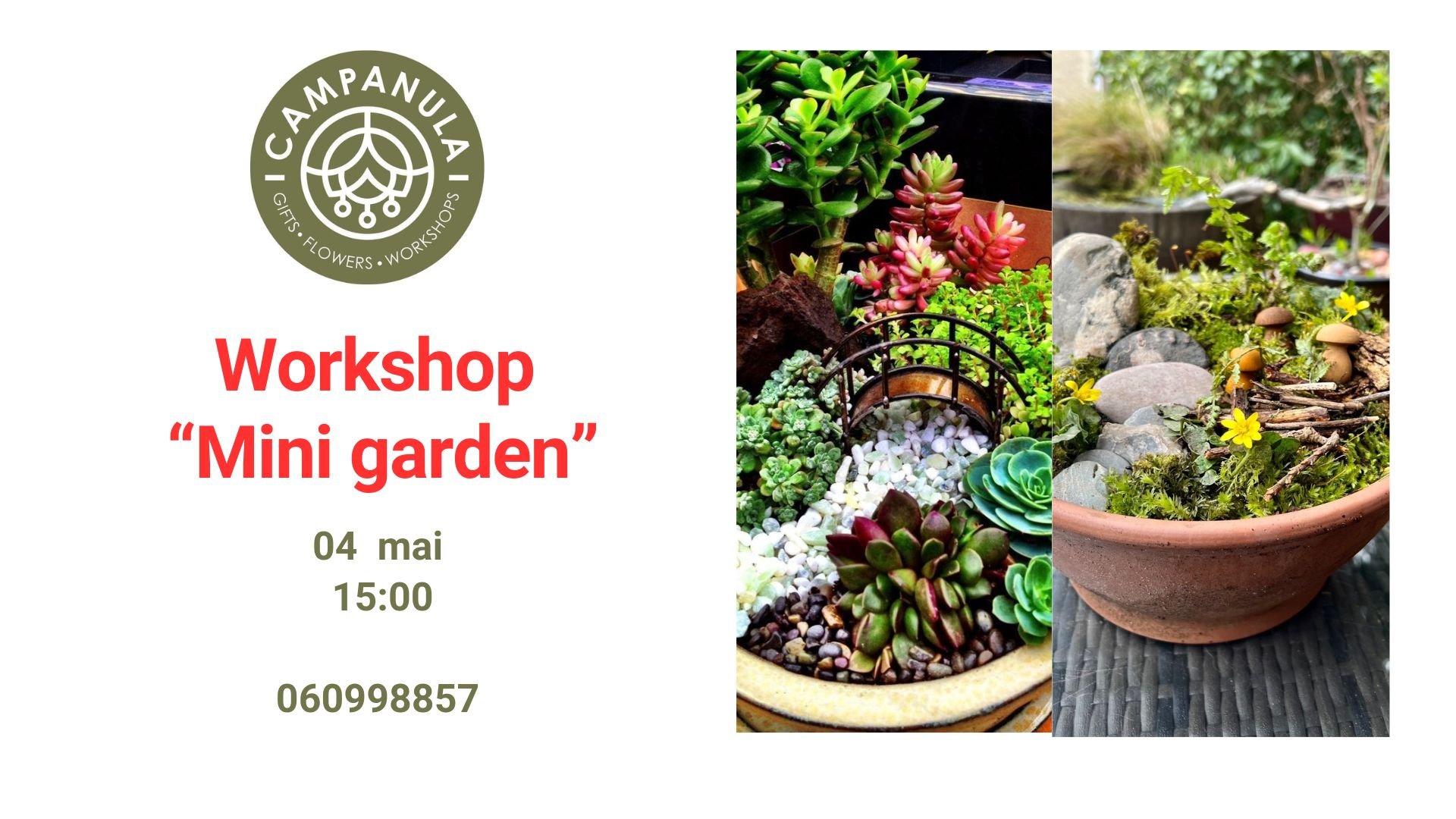 Workshop „Mini Garden” 