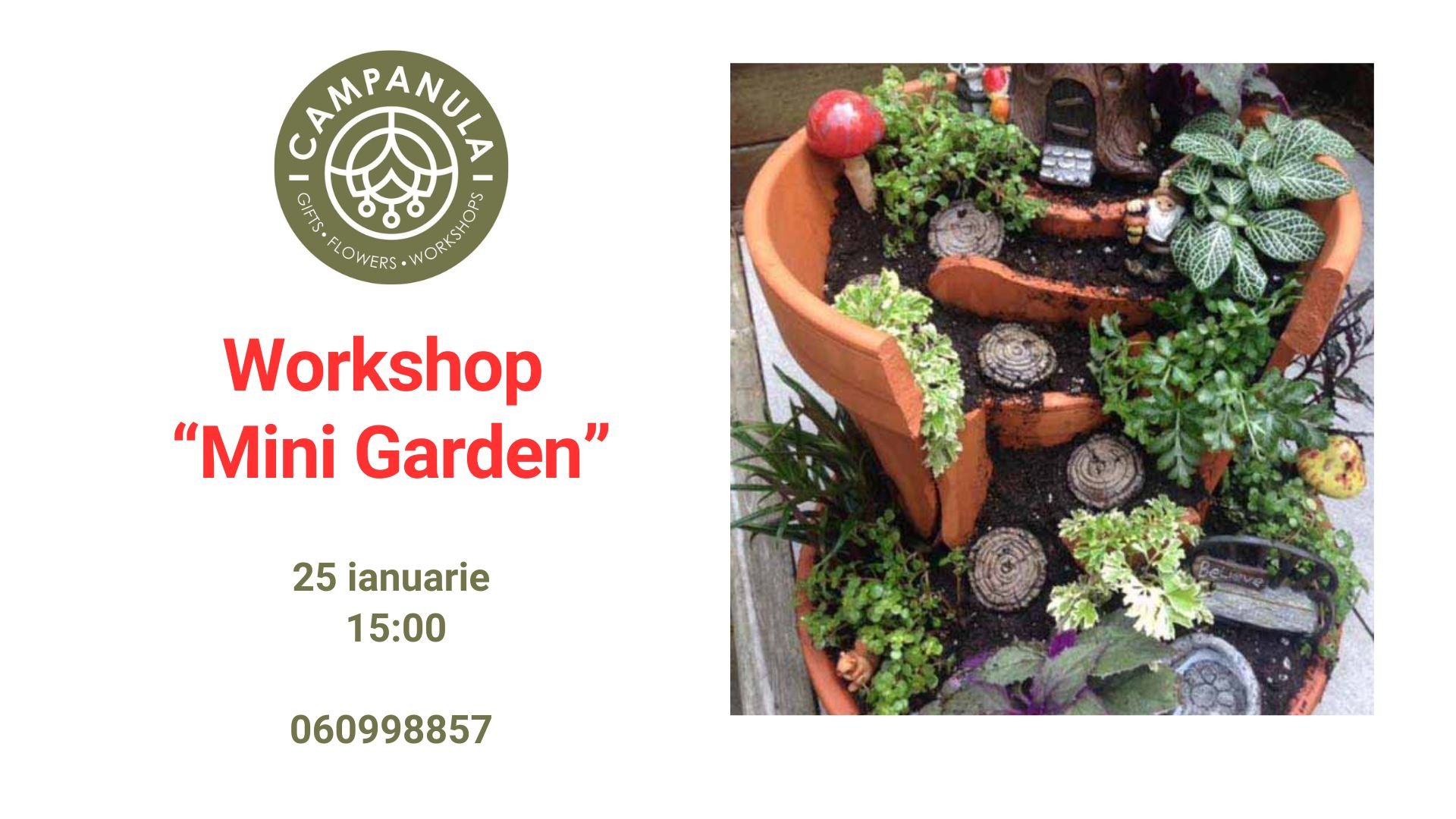 Workshop „Mini Garden” | 25 Ianuarie