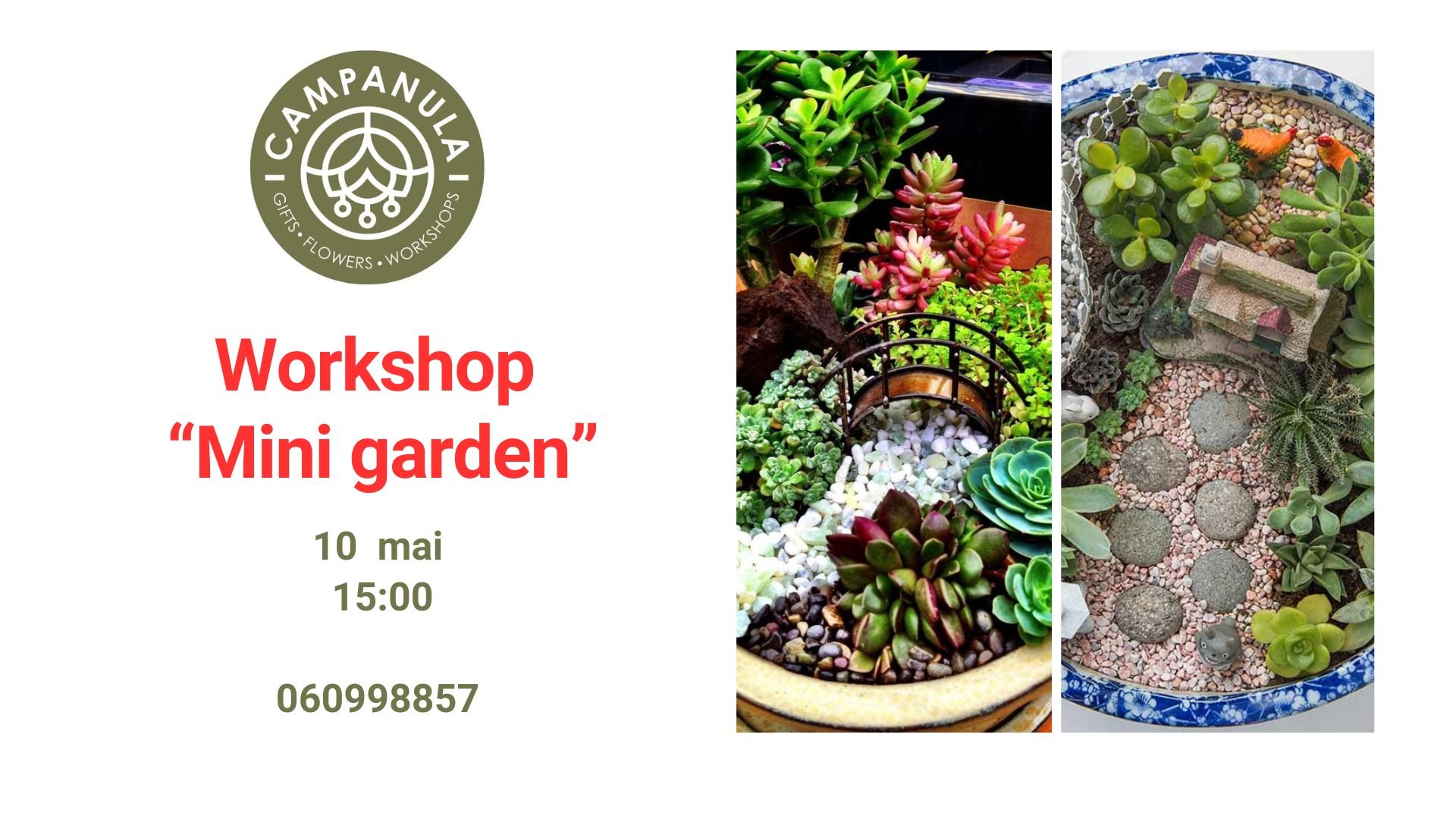 Workshop „Mini Garden” | 10 Mai