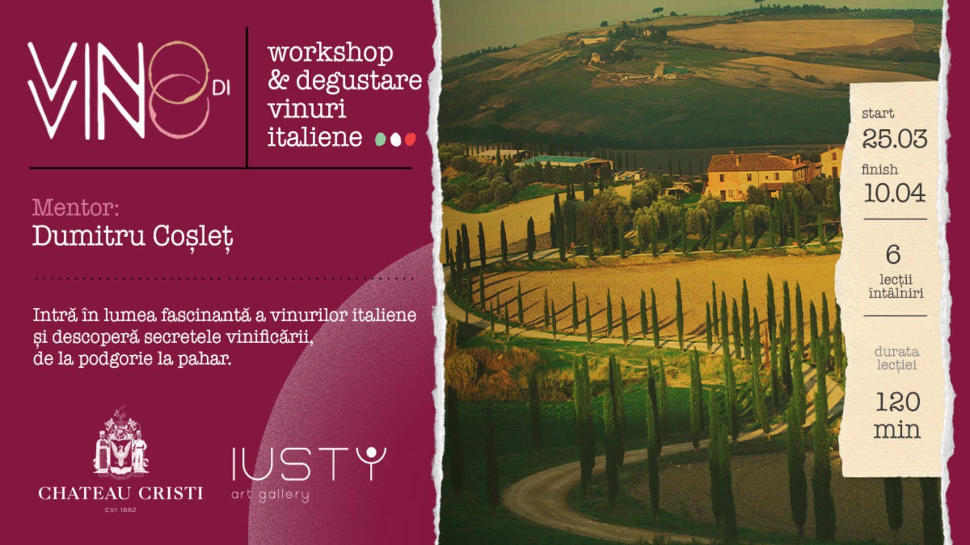 Vino di Vino. Wine experience