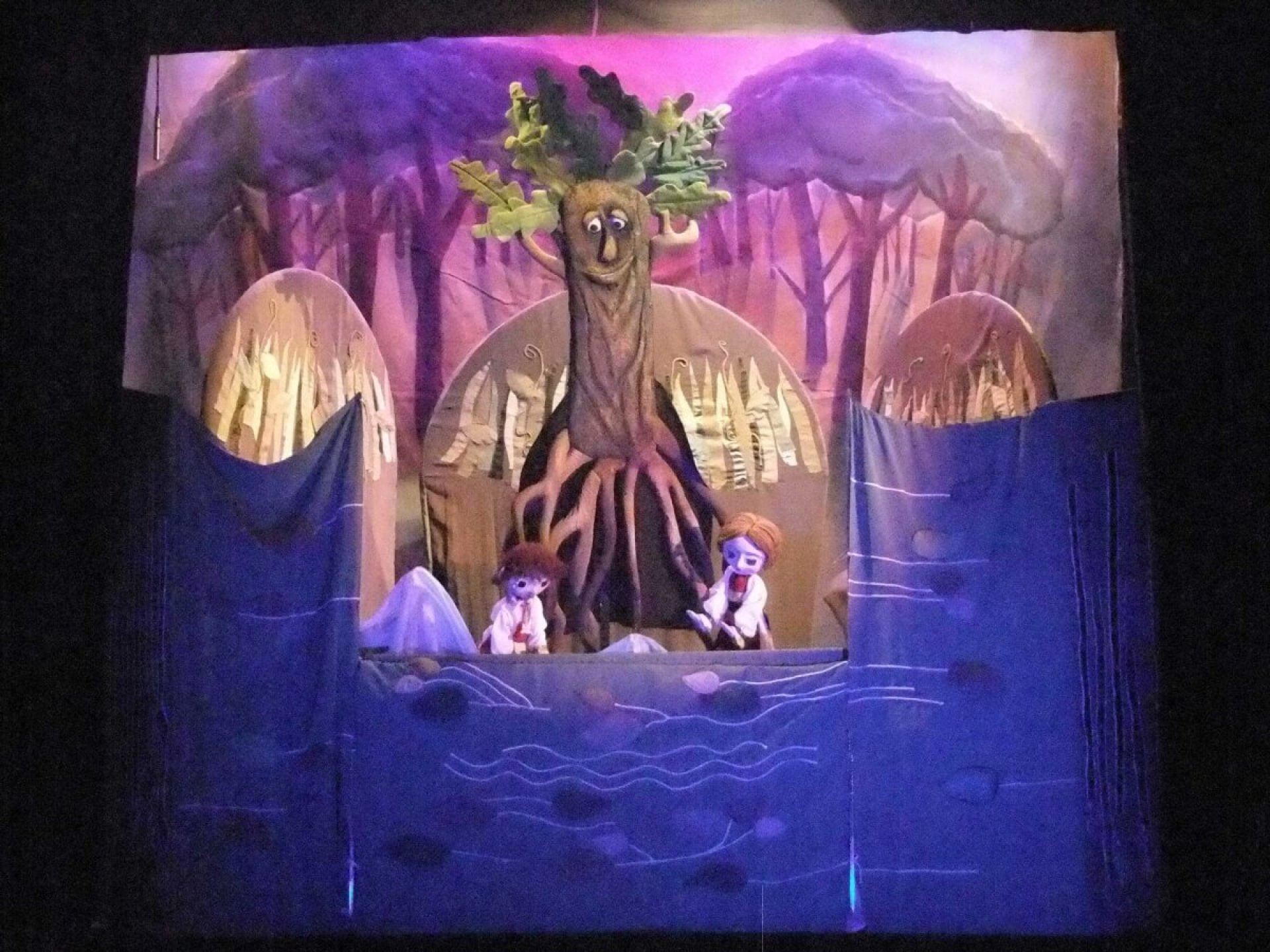 PADUREA DE ARGINT 3+ Octombrie 2021