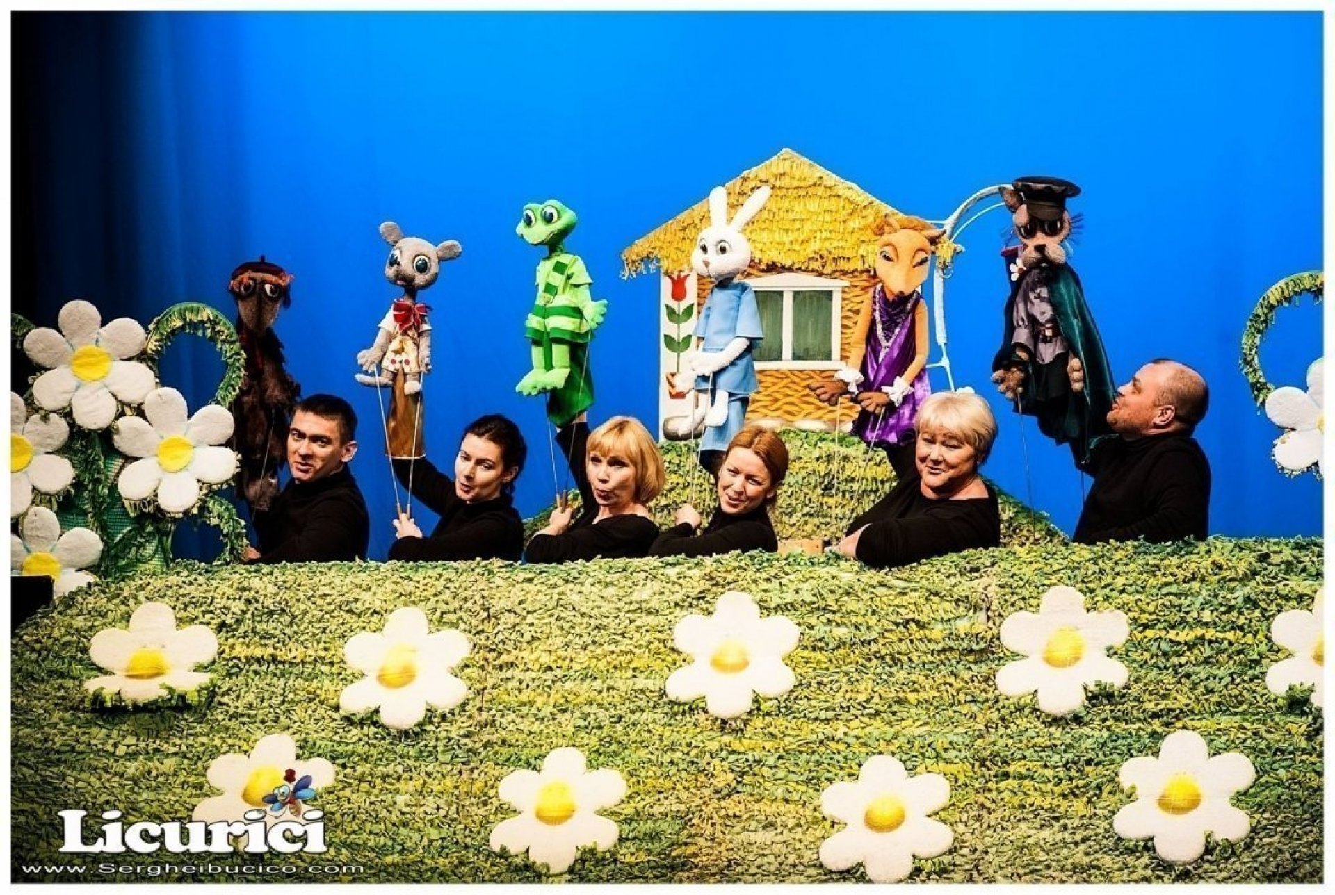 Люблю ромашки | 20 Iulie