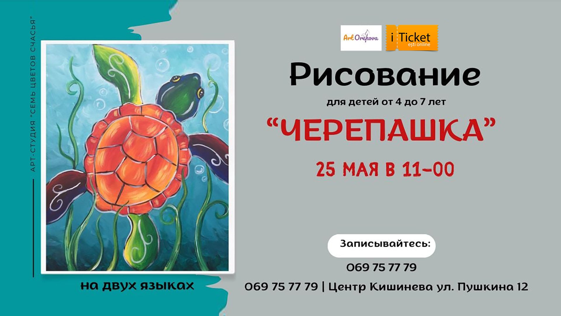 Рисование "Черепашка"