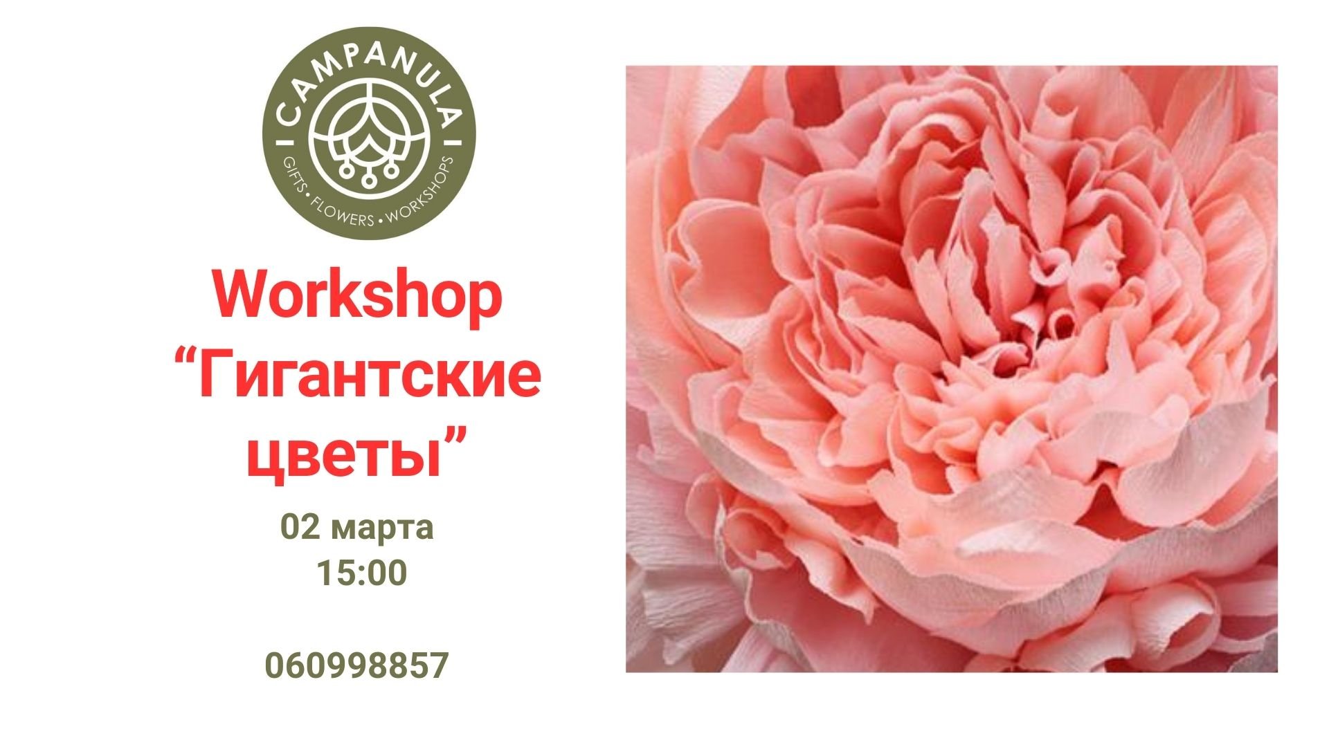 Bоркшоп «Гигантские цветы»