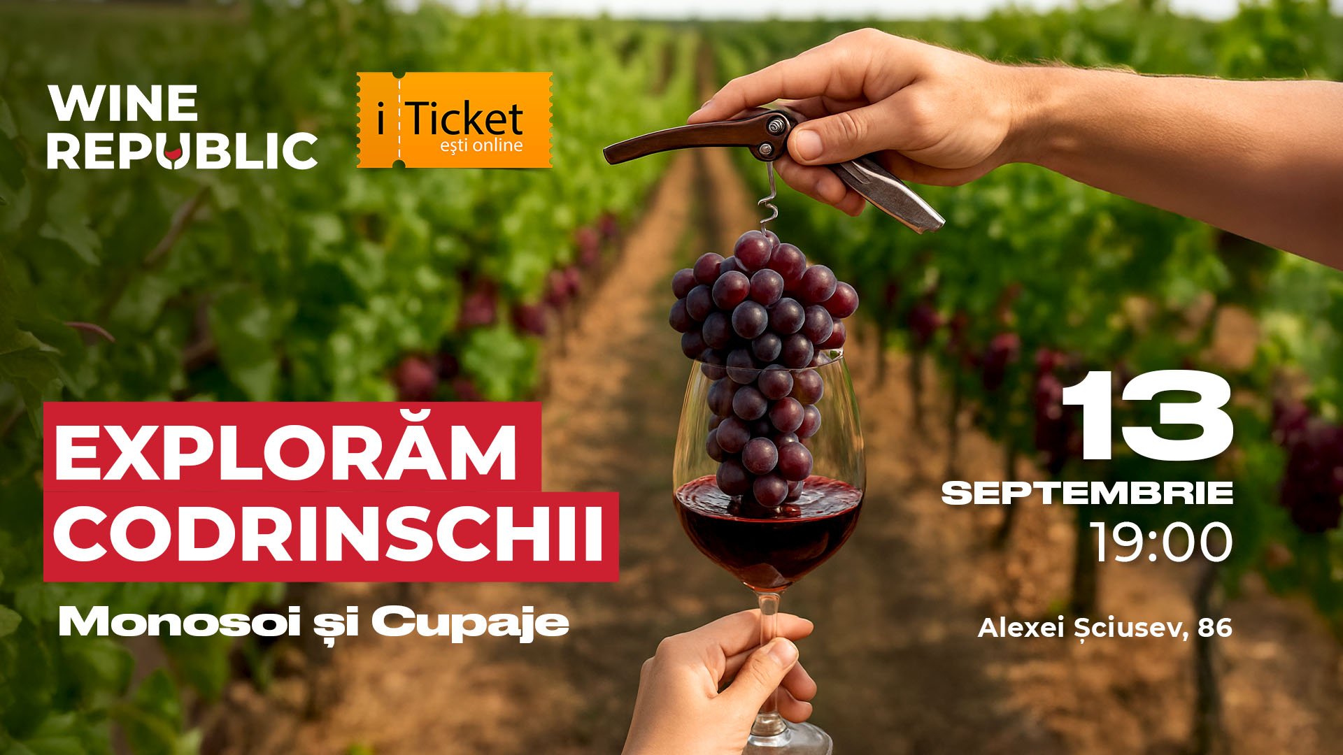 Explore Codrinschii – Single Varietals and Blends