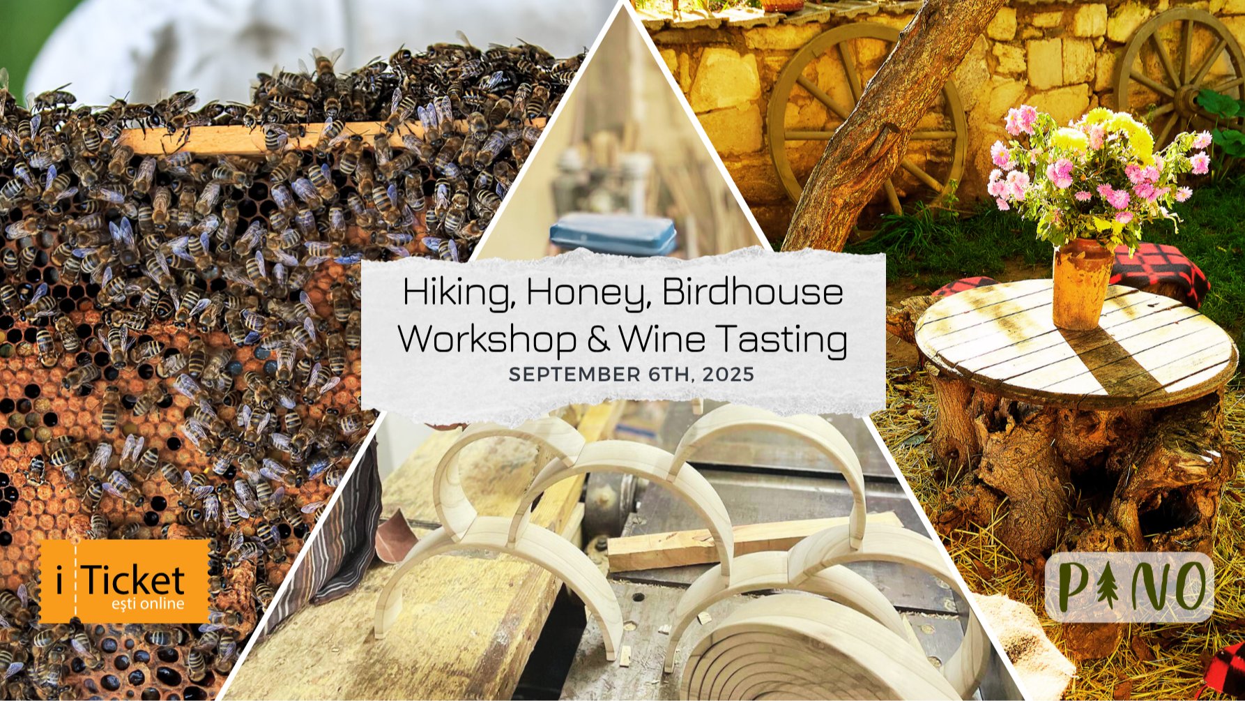Drumeție, Miere, Atelier de Căsuțe pentru Păsări & Degustare de Vinuri    