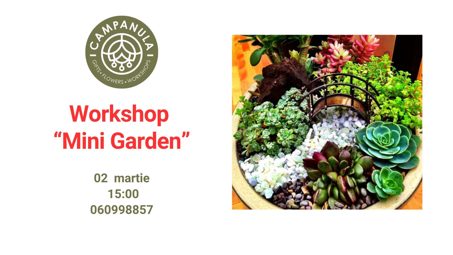 Workshop „Mini Garden” | 2 Martie