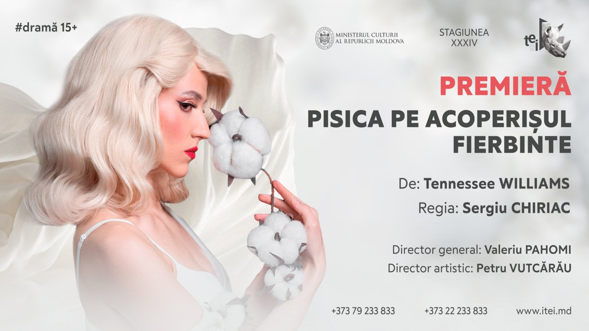 Pisica pe acoperișul FIERBINTE 16.02