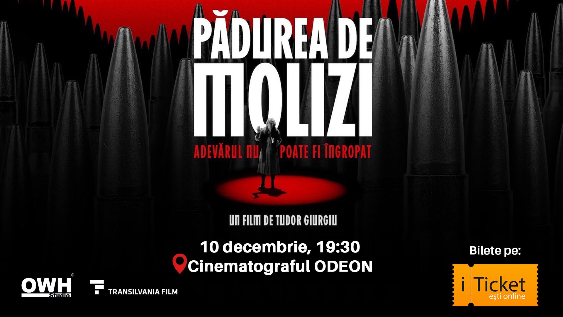 Premieră! Pădurea de molizi 