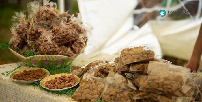 Picnic la Ferma Eco – livada de migdale