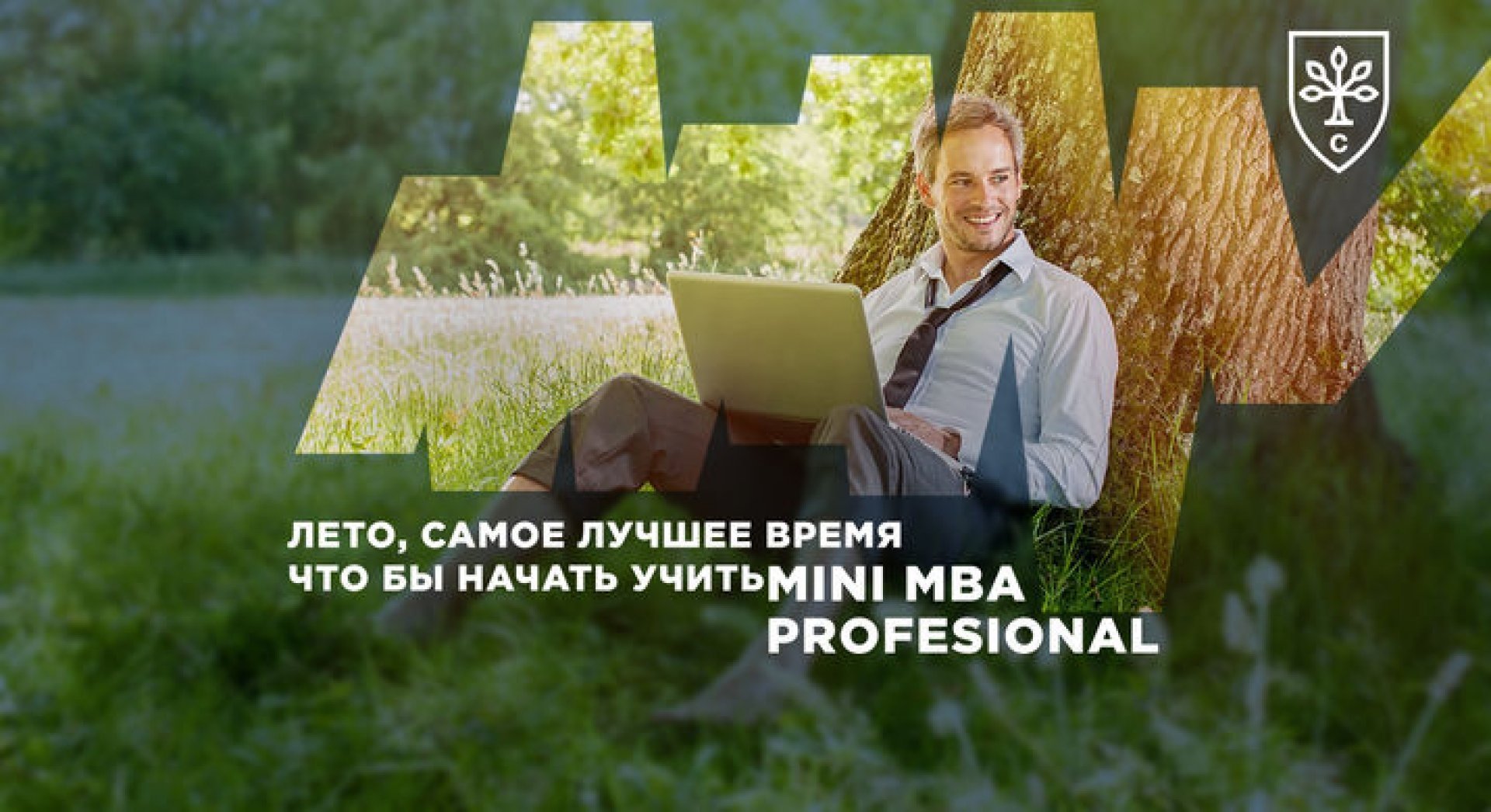 Mini-MBA Professional