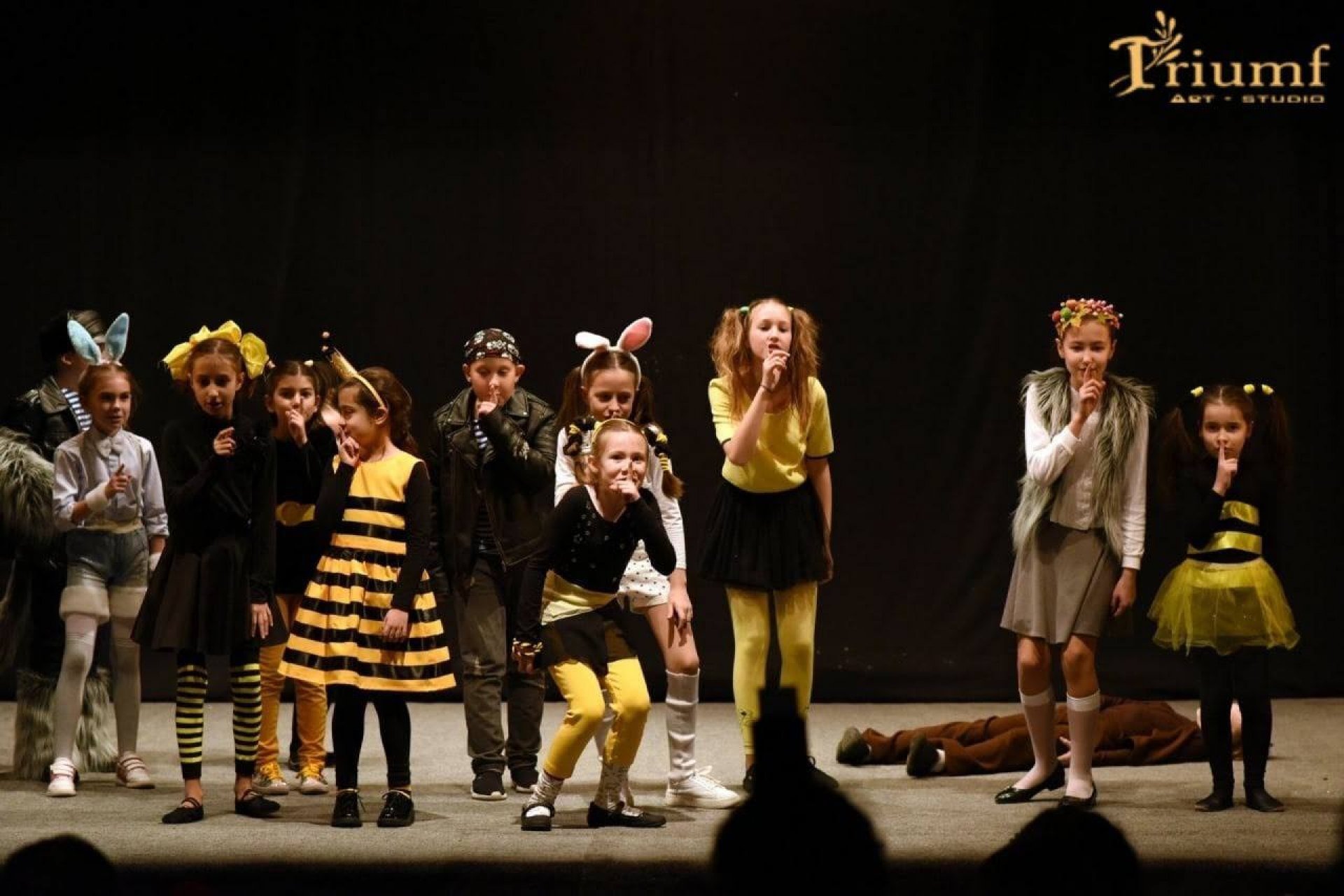 Studio pentru copii „TRIUMF”,  copii de la 5 la 17 ani